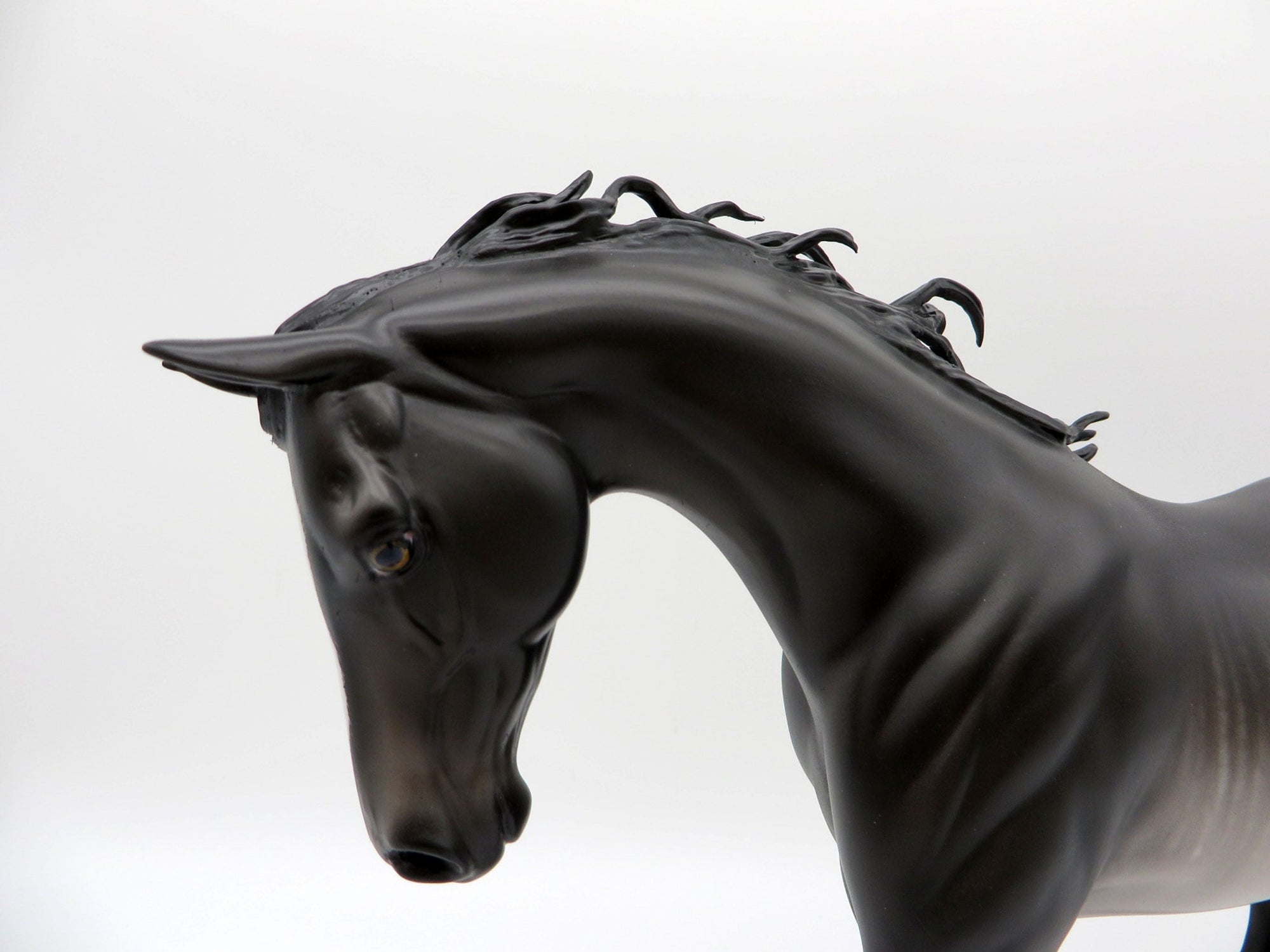 Moonlight on Water-OOAK Black Rabicano Painted by Sheryl Leisure EQ 21
