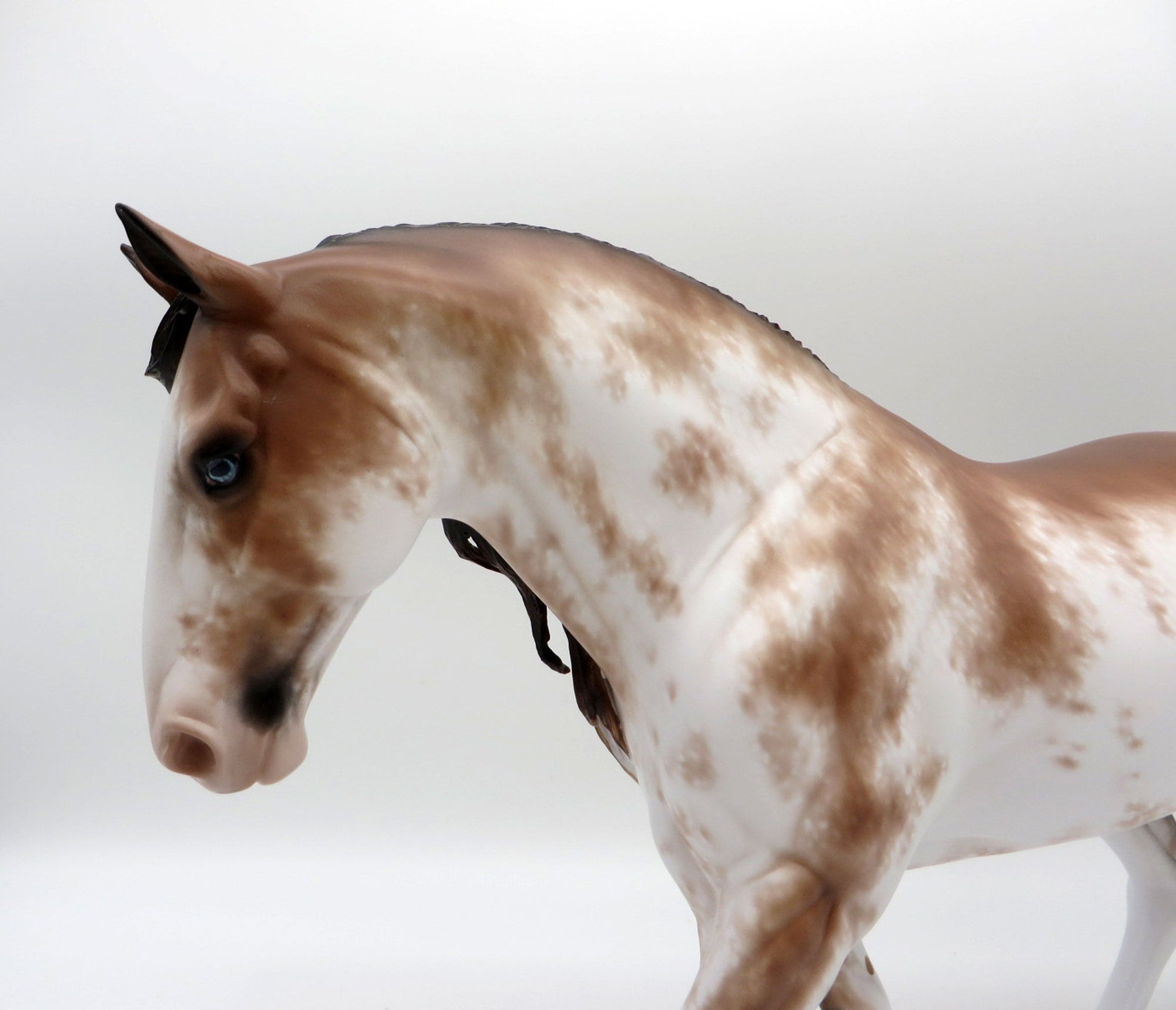 Morrison-OOAK Bay Sabino Irish Draft Painted by Sheryl Leisure 11/22/21