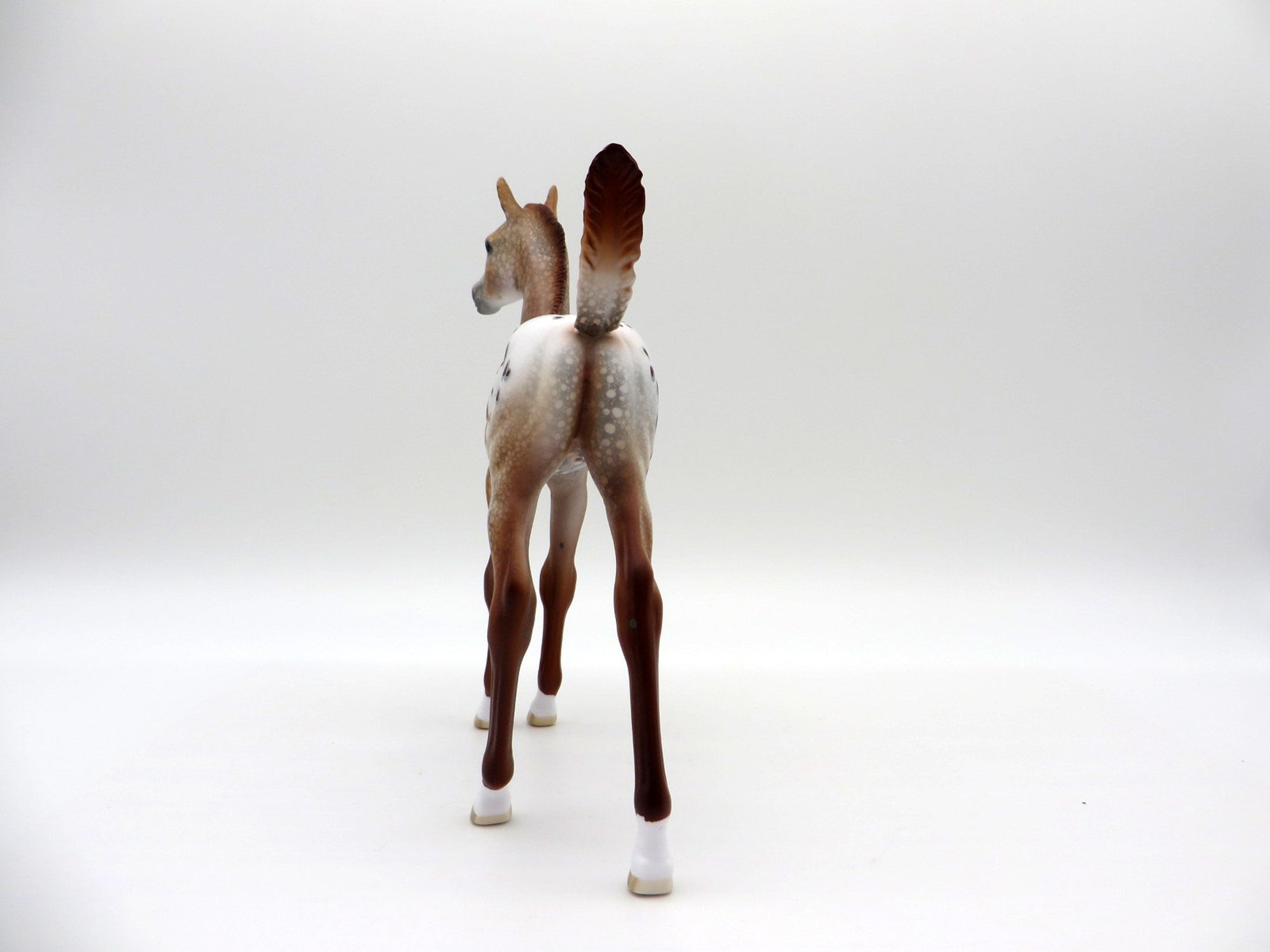 Mucha-LE-15 Chestnut Appaloosa Arabian Foal EQ 2021