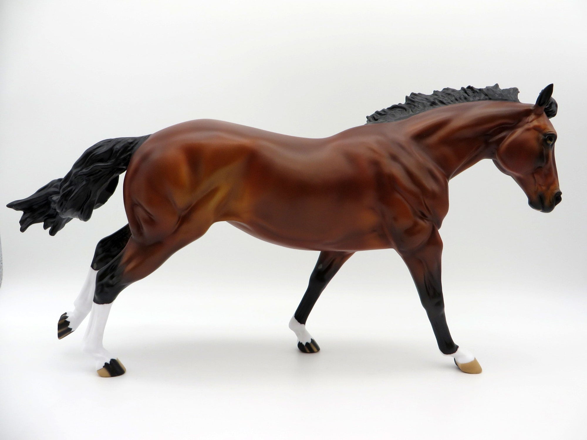 Mustang Salli-LE-70 Bay Running Stock Horses Stone Horse Country Fair 2021