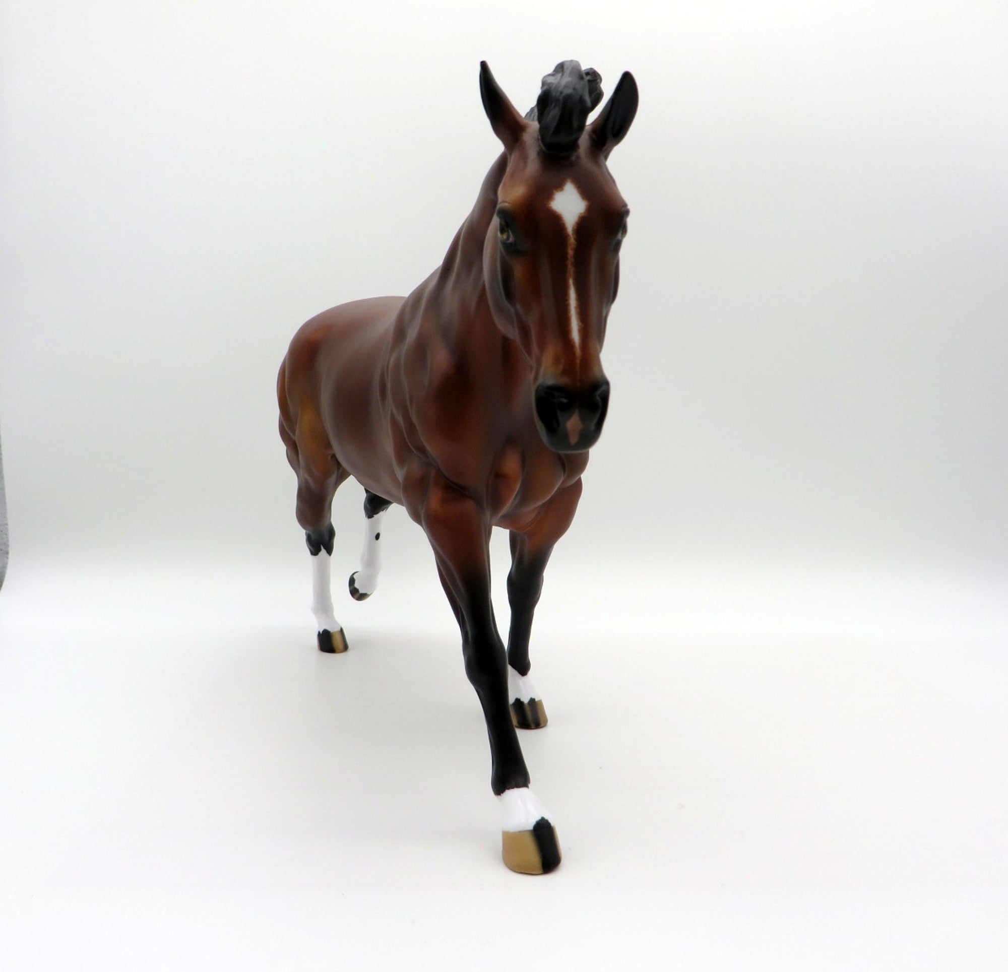 Mustang Salli-LE-70 Bay Running Stock Horses Stone Horse Country Fair 2021