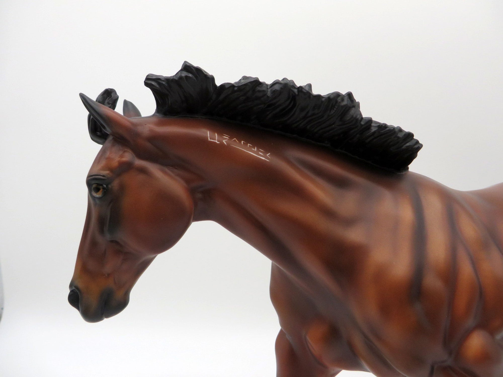 Mustang Salli-LE-70 Bay Running Stock Horses Stone Horse Country Fair 2021