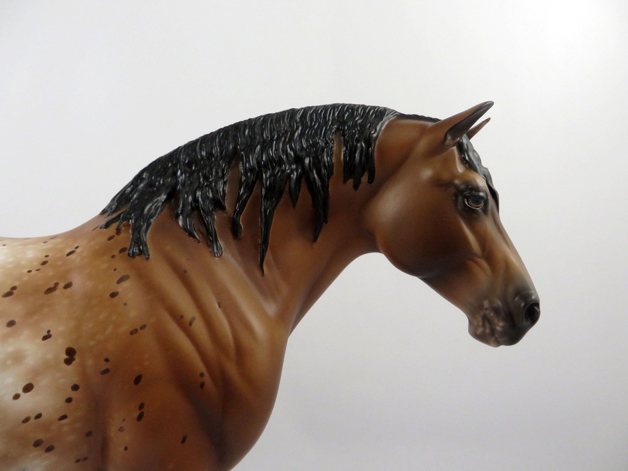 Mystify-OOAK Bay Appaloosa Mare Painted By Sheryl Leisure 2/25/21