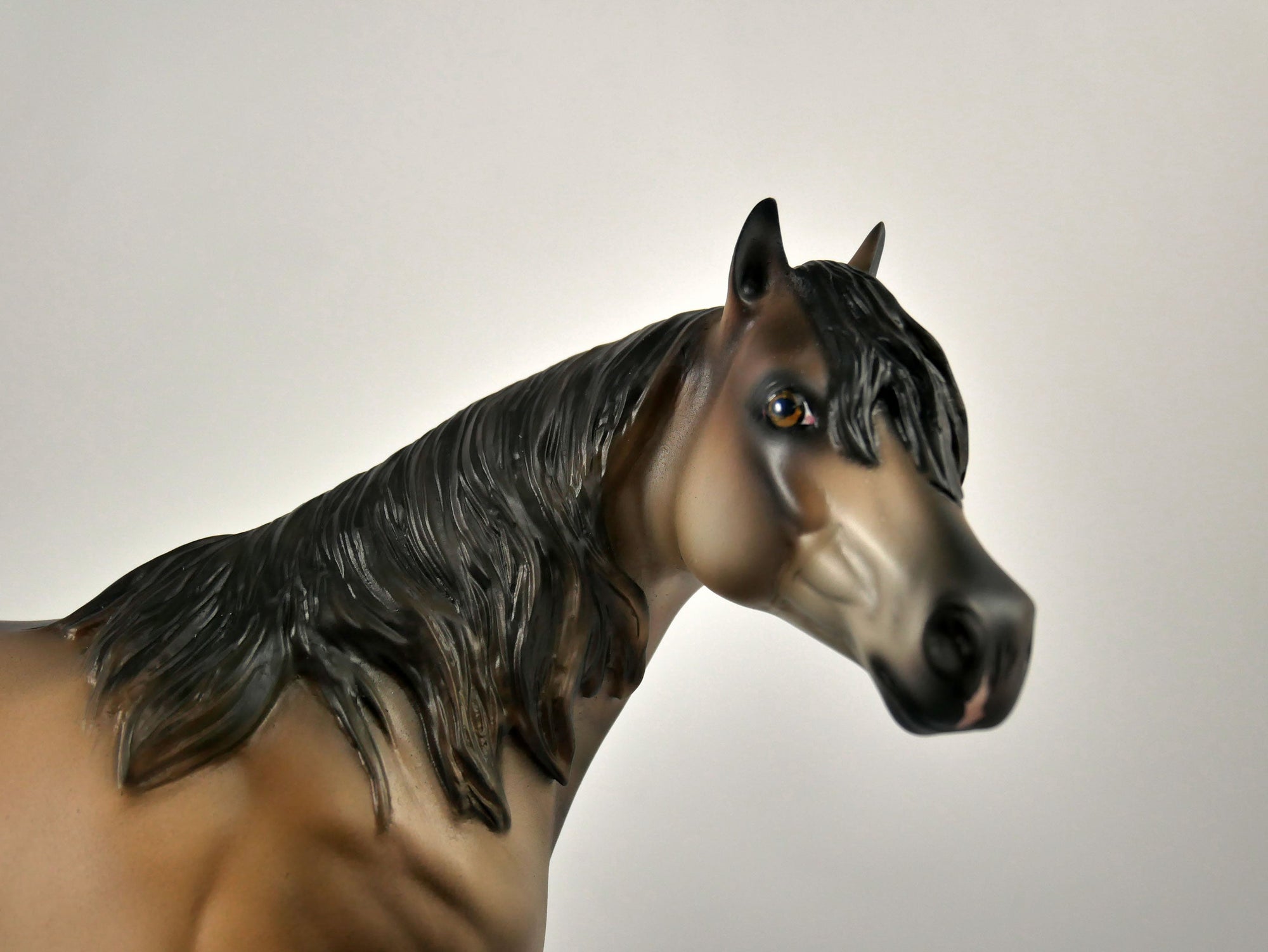 Naughty Buckskin ISH Painted By Julie Keim 12/30/20