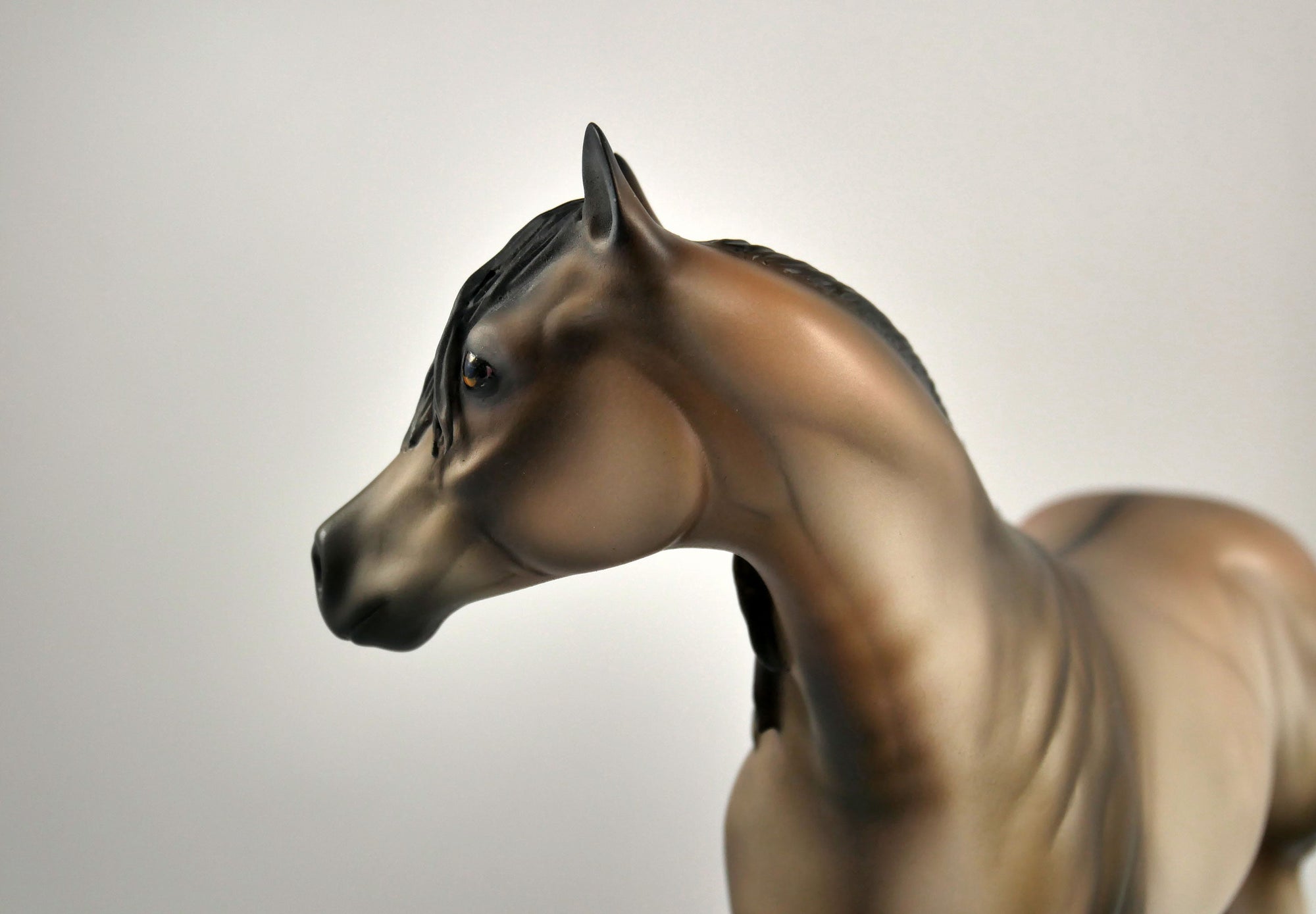 Naughty Buckskin ISH Painted By Julie Keim 12/30/20