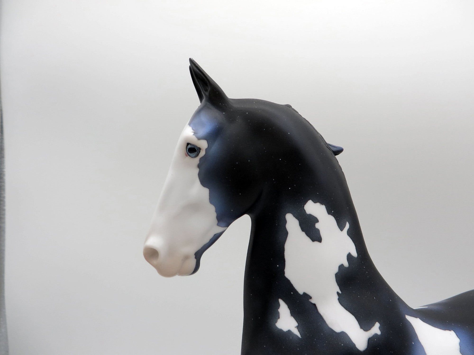 Nebula-OOAK Dapple Black Paint Saddlebred SHCF 2021