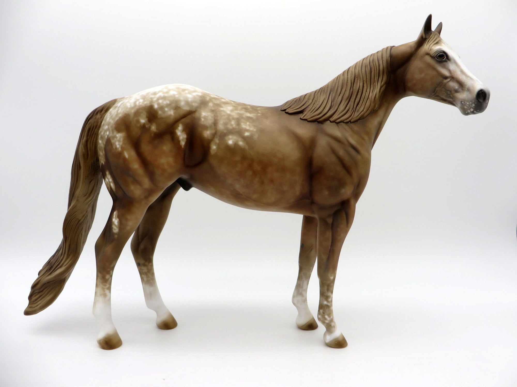 Nevada Gold-OOAK Palomino Appaloosa ISH Equilocity 2021 Painted by Al