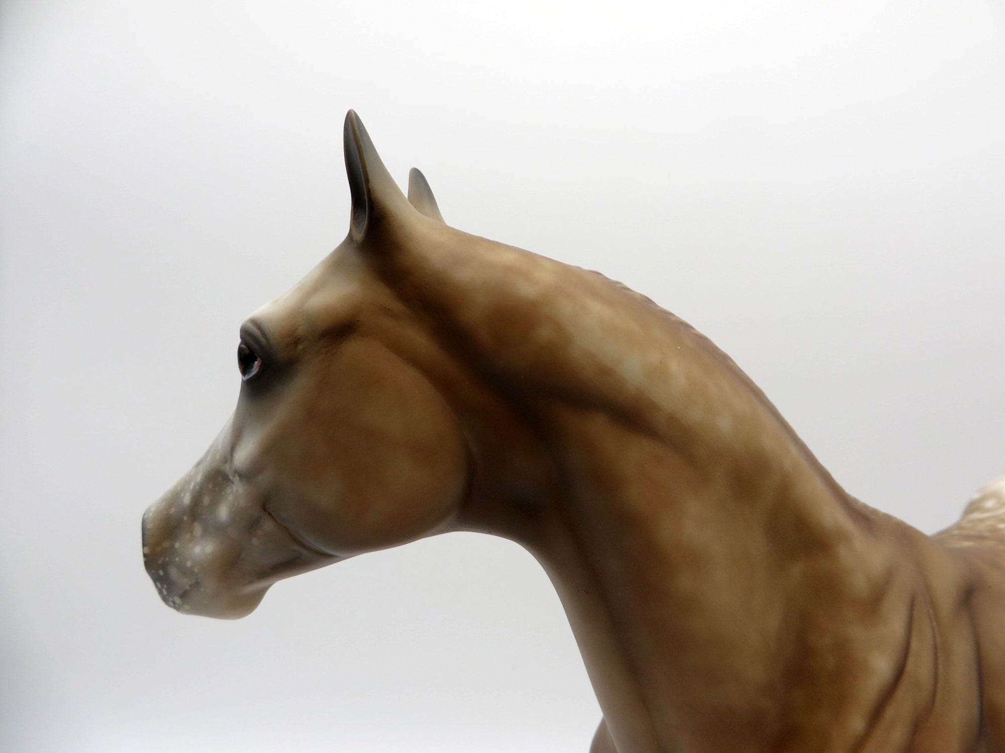 Nevada Gold-OOAK Palomino Appaloosa ISH Equilocity 2021 Painted by Al