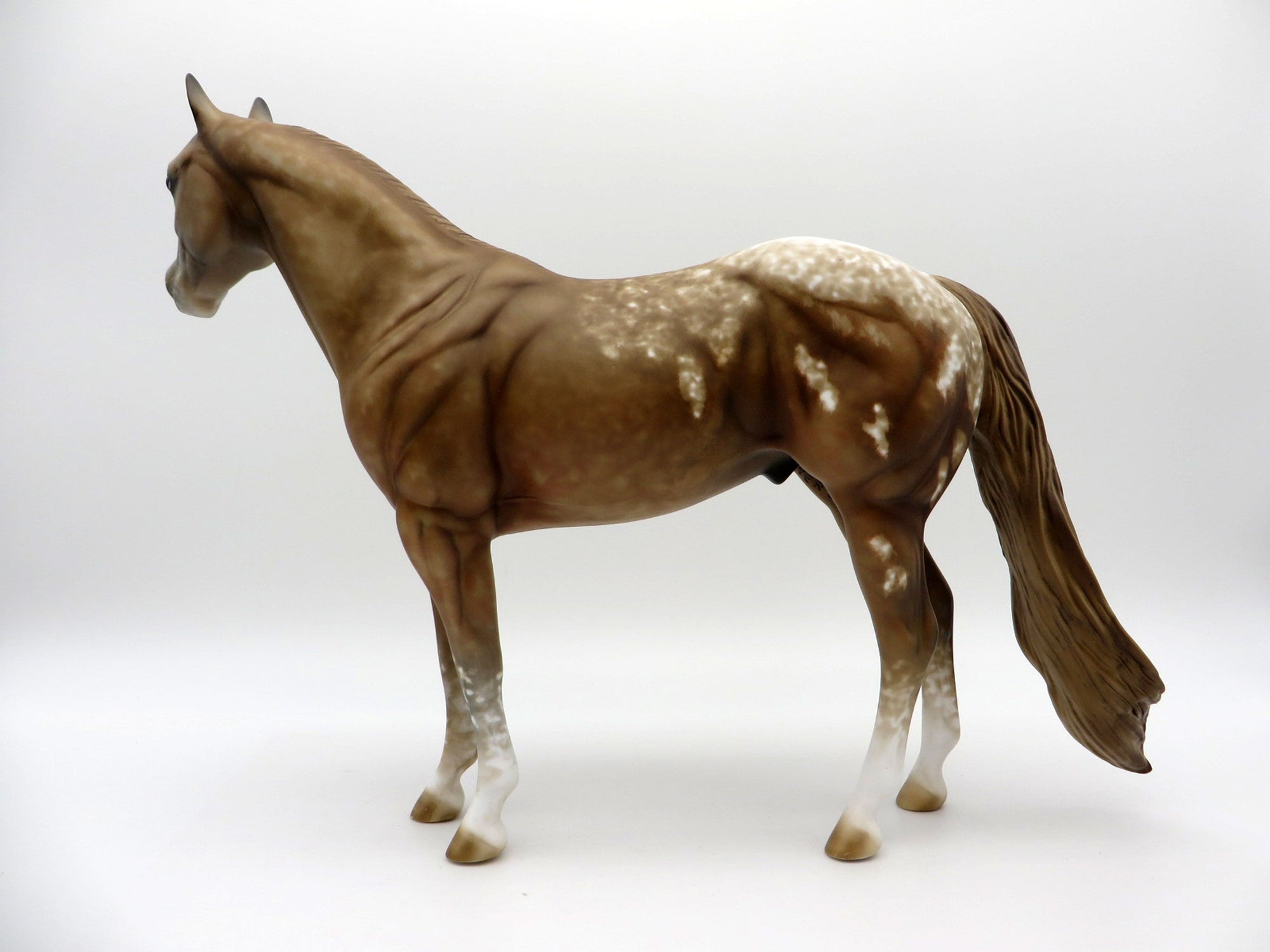 Nevada Gold-OOAK Palomino Appaloosa ISH Equilocity 2021 Painted by Al