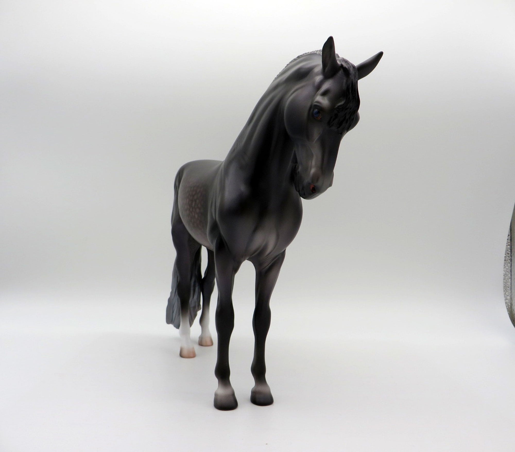 Niger-OOAK Andalusian By Caroline Boydston