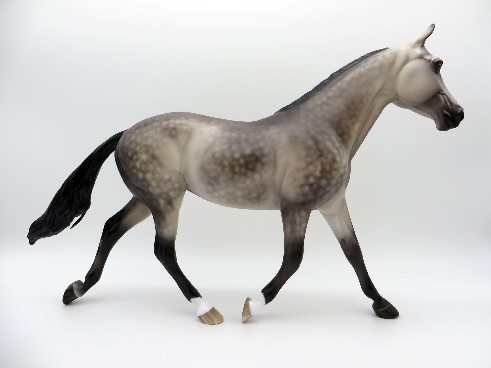 Night Fever-OOAK Dusty Buckskin Palouse Painted by Sheryl Leisure 7/26/21