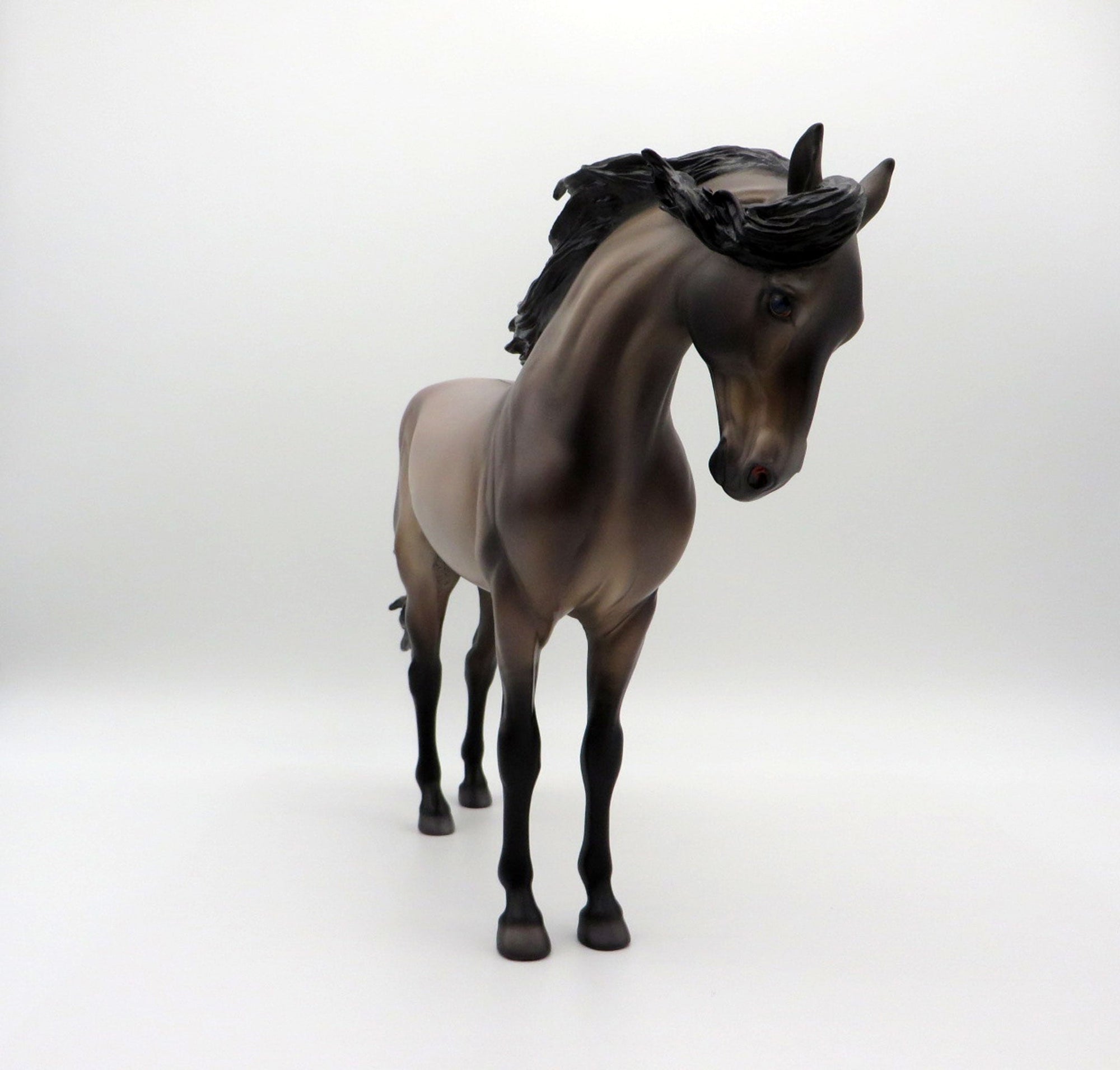 Niles-OOAK Grulla Andalusian By Caroline Boydston 4/5/21