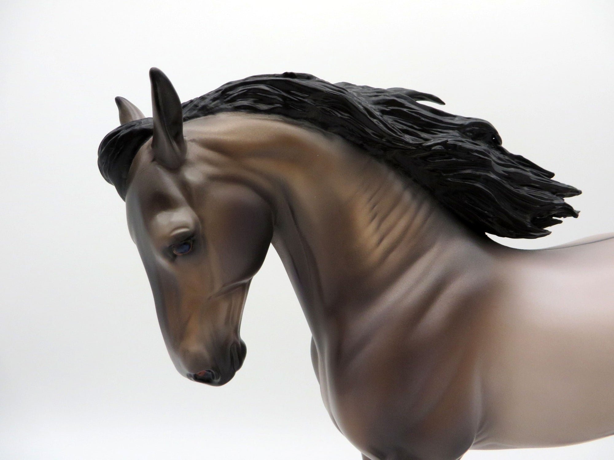 Niles-OOAK Grulla Andalusian By Caroline Boydston 4/5/21