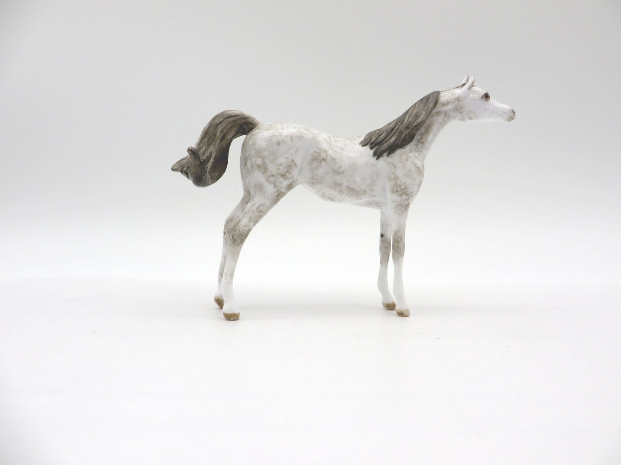 NiMBUS-OOAK Grey Arabian Chip SHCF 2021