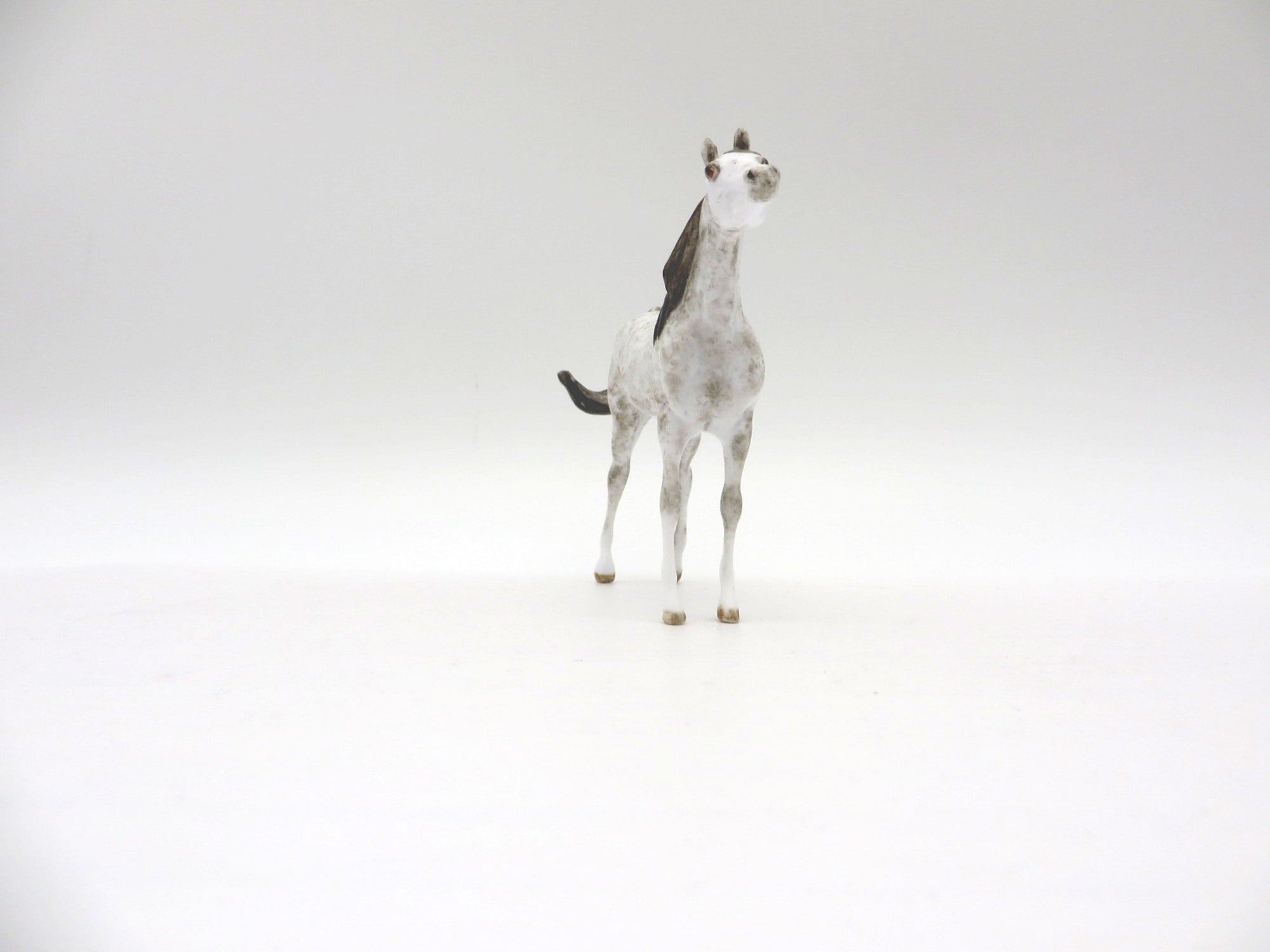 NiMBUS-OOAK Grey Arabian Chip SHCF 2021