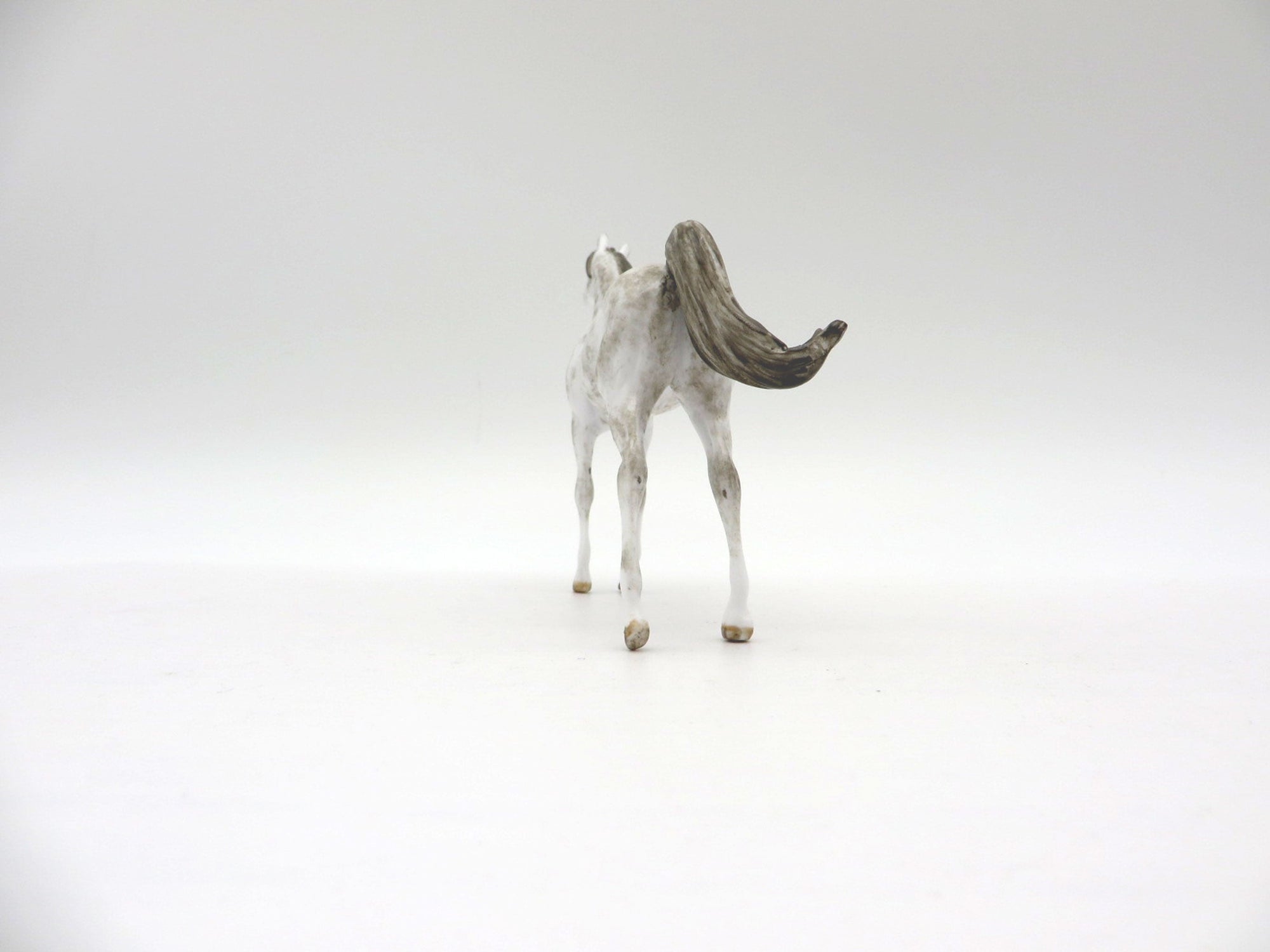 NiMBUS-OOAK Grey Arabian Chip SHCF 2021