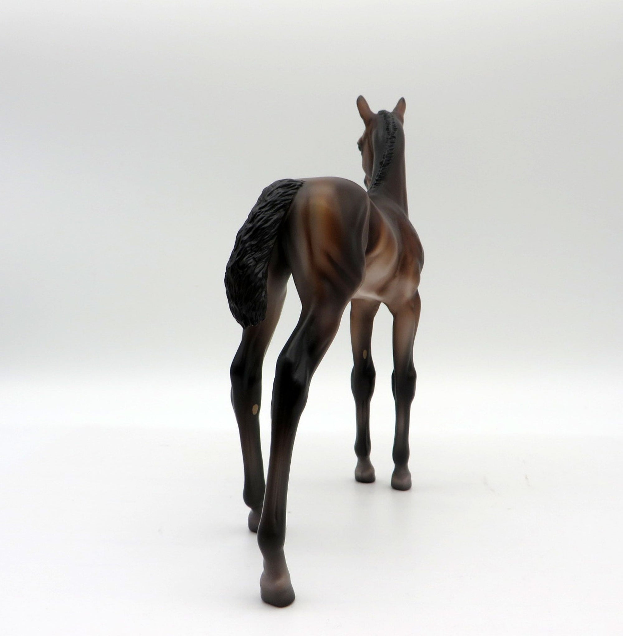 Novato-OOAK Baby Bay Foal Painted by Caroline Boydston 10/18/21