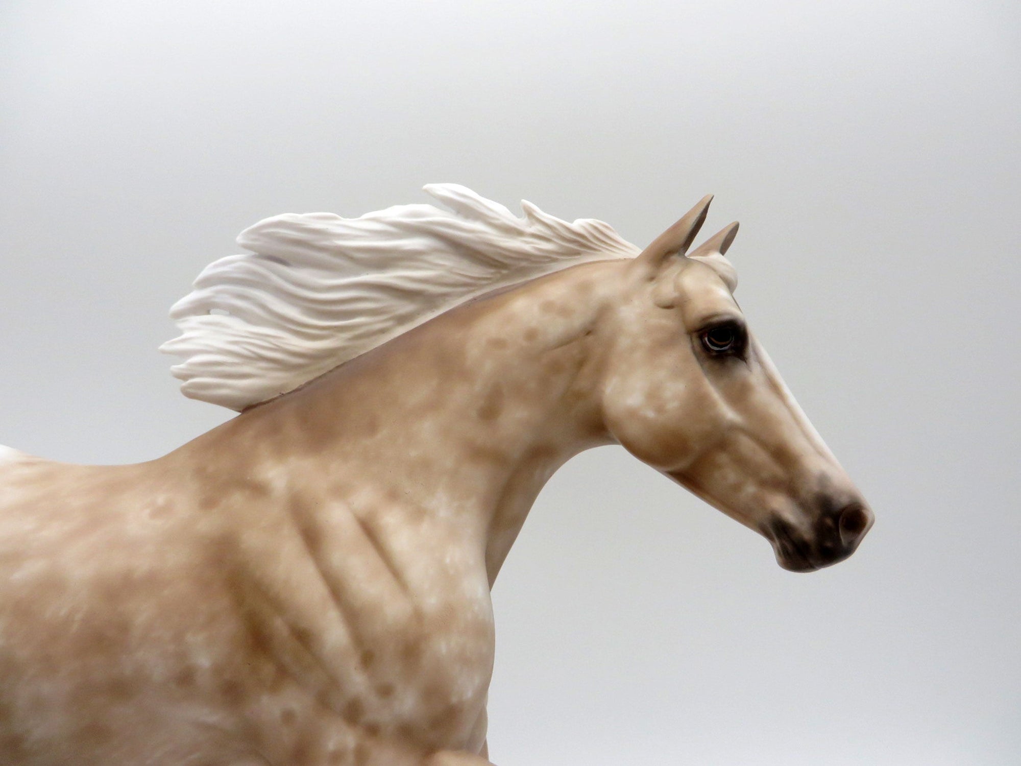 Nutty Bar-OOAK Foundation Stock Horse Painted By Sheryl Leisure 7/12/21