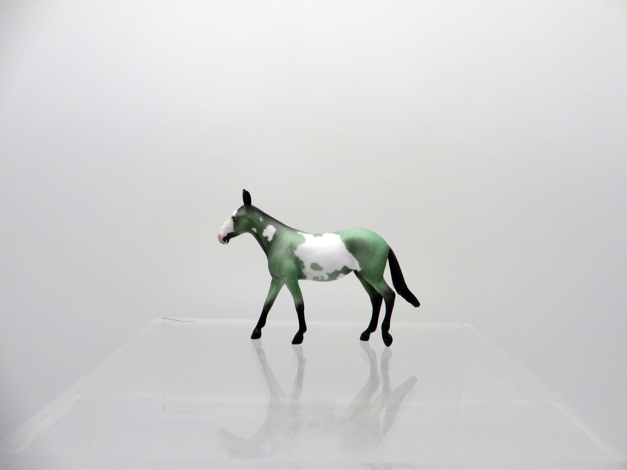 O'Malley-OOAK Mule Chip St. Patrick's Day 3/17/21