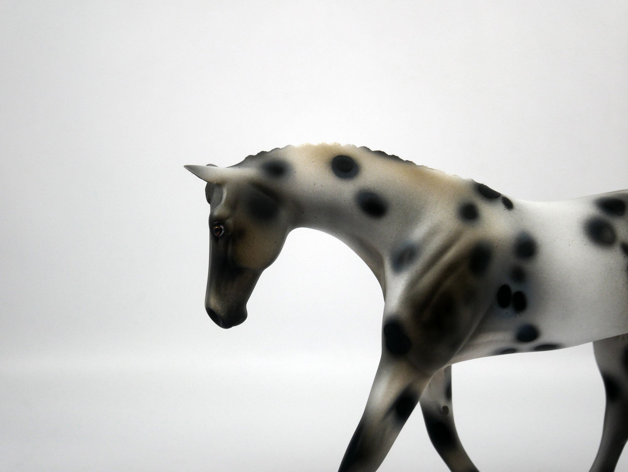 Oasis-OOAK Appaloosa Pebbles Warmblood 1/8/21