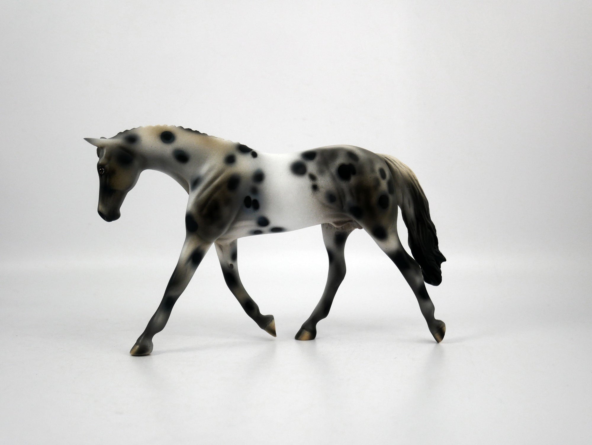 Oasis-OOAK Appaloosa Pebbles Warmblood 1/8/21