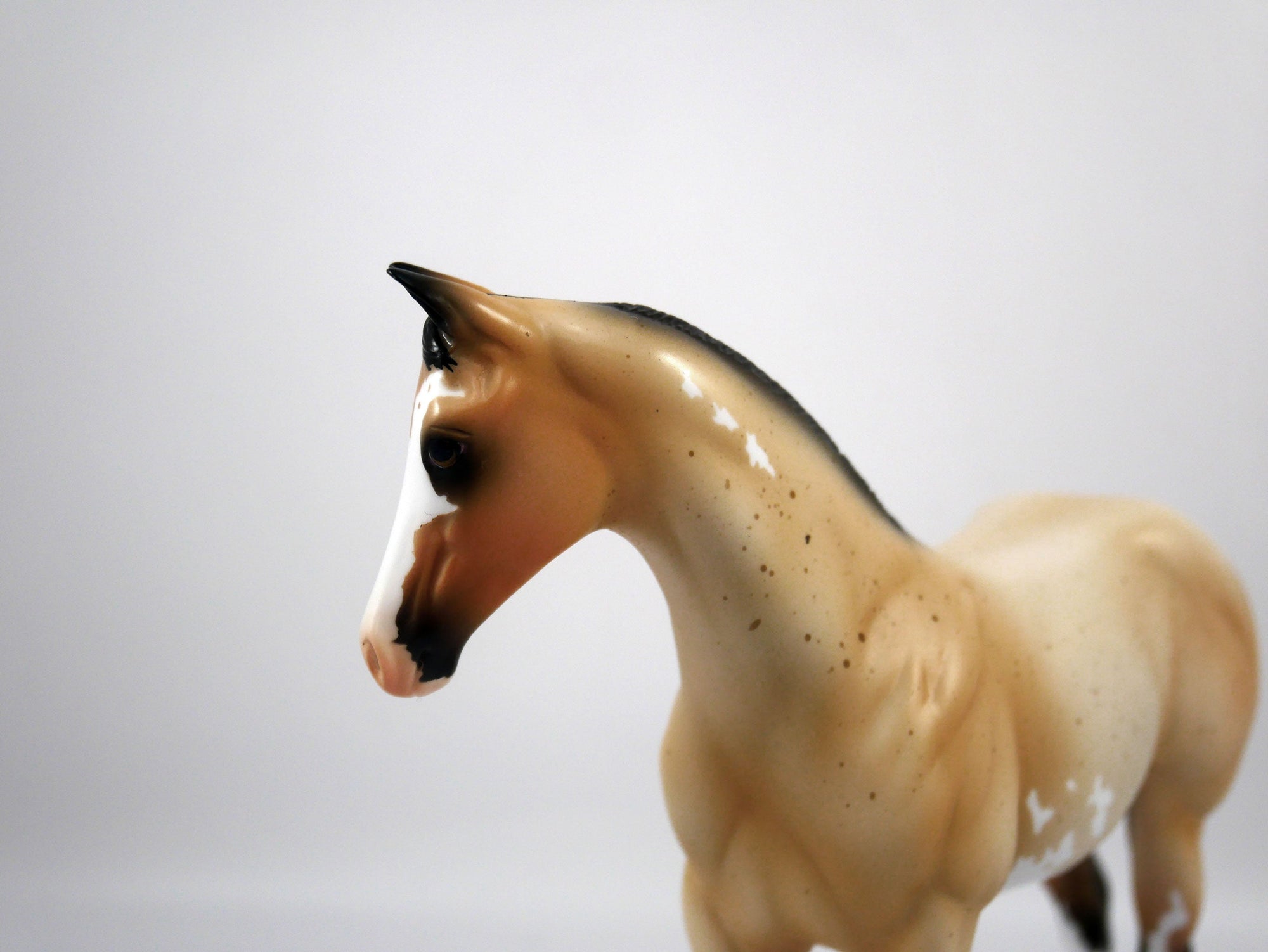 Oliva-OOAK Weanling Buckskin Paint by Ellen 1/29/21