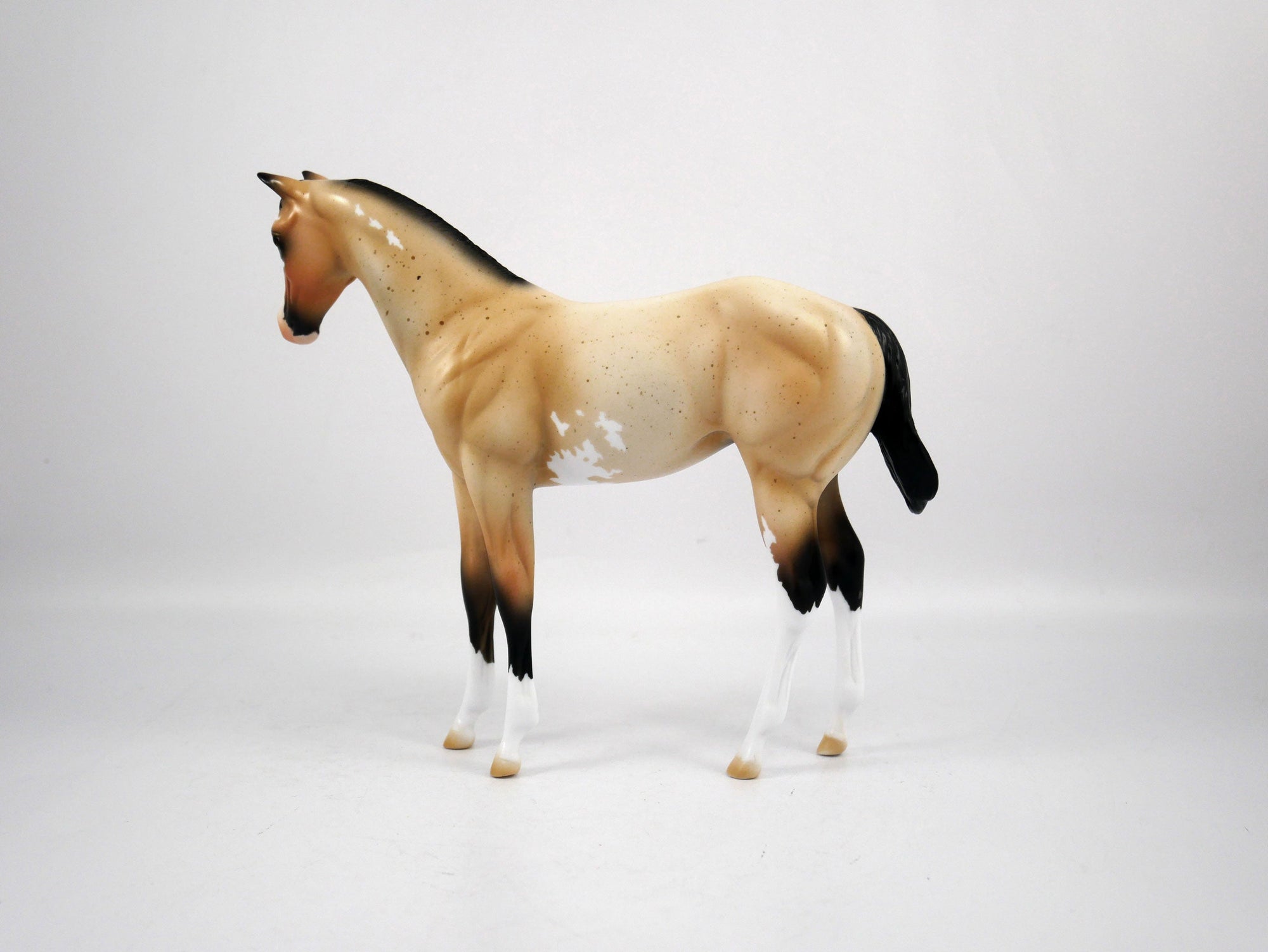 Oliva-OOAK Weanling Buckskin Paint by Ellen 1/29/21