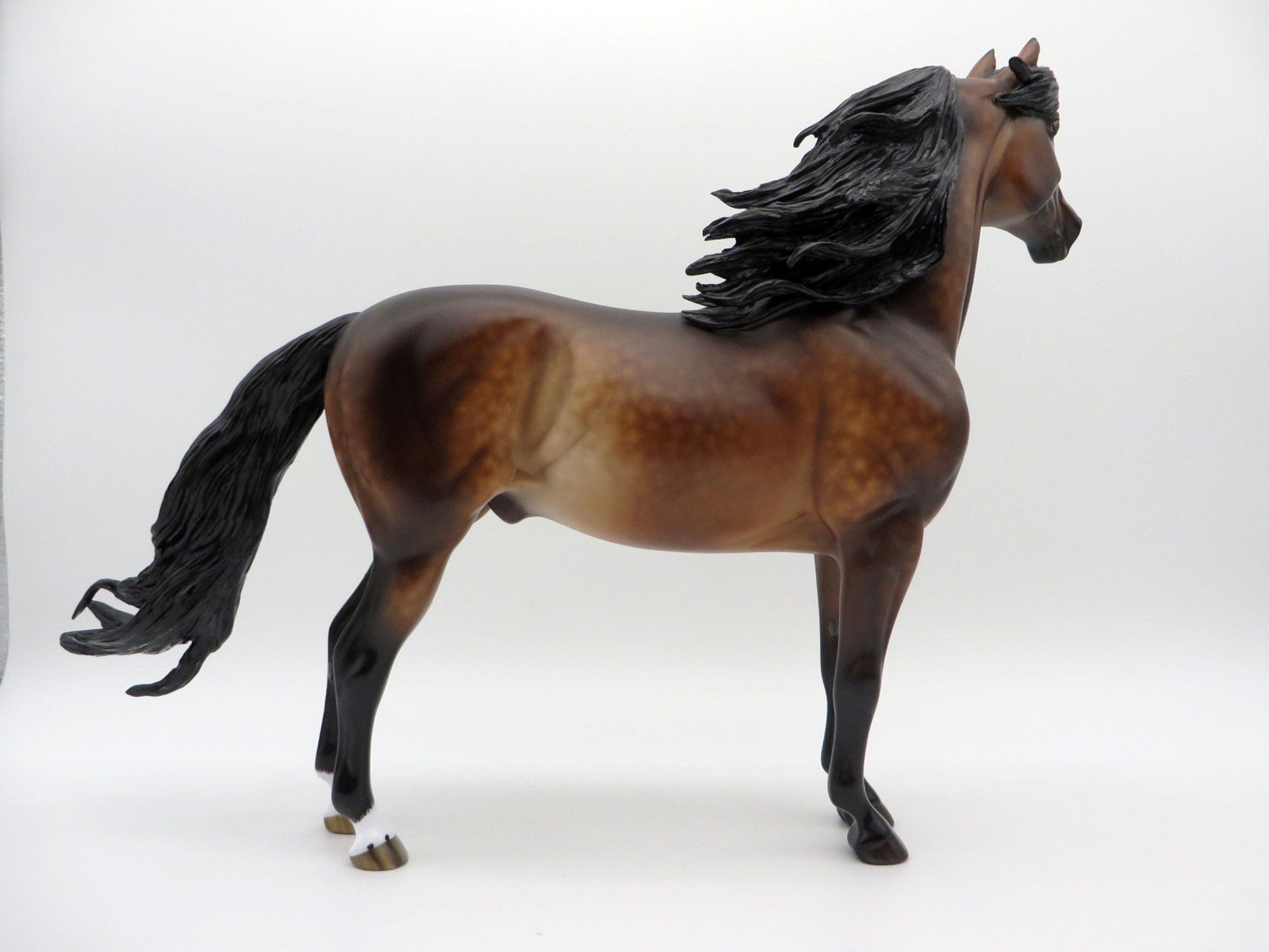 One More Night - OOAK Dapple Bay Morgan Painted By Sheryl Leisure 7/19/21