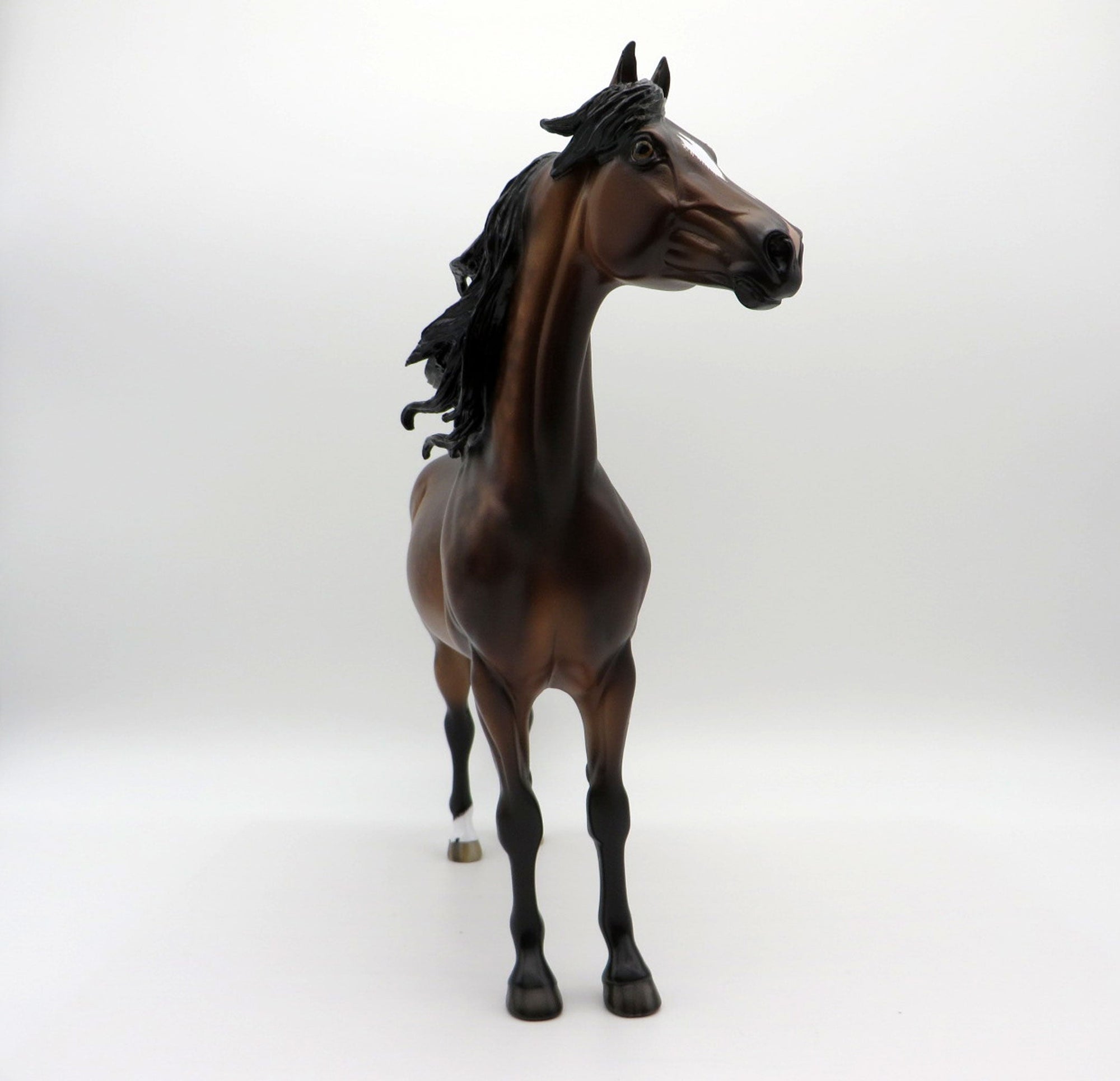 One More Night - OOAK Dapple Bay Morgan Painted By Sheryl Leisure 7/19/21