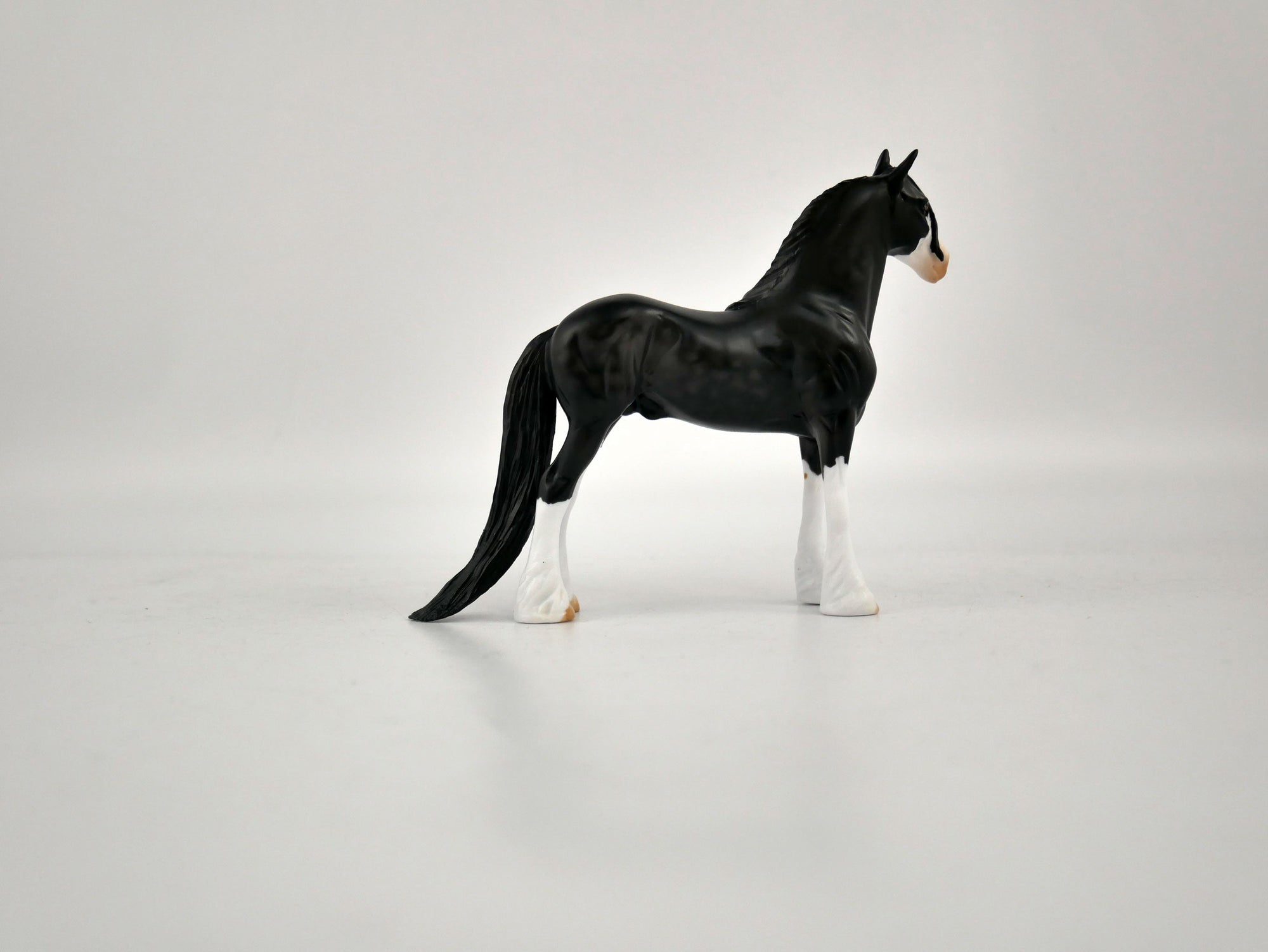 What is inside the Box> Onyx 12/20