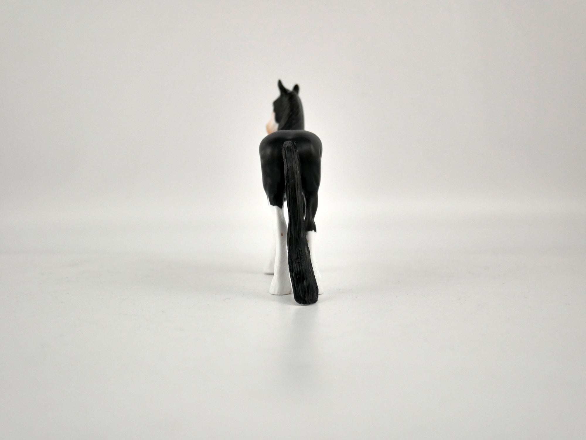 What is inside the Box> Onyx 12/20