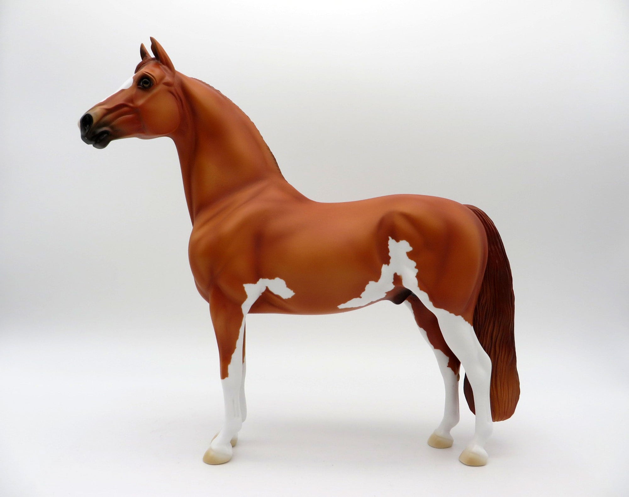 Ophiuchus-OOAK Chestnut Paint Morgan SHCF 2021