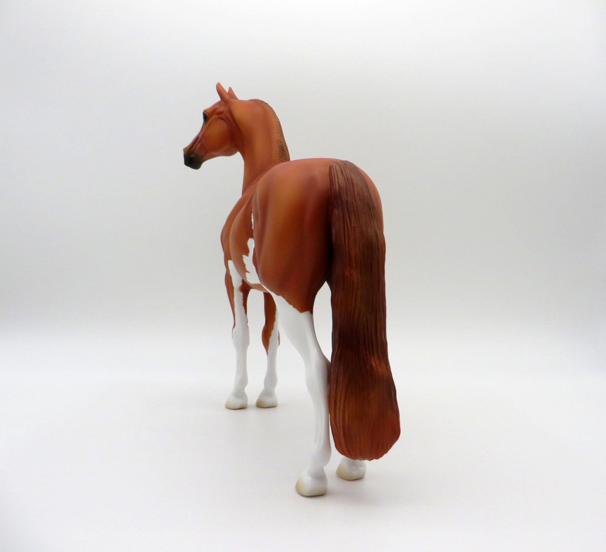 Ophiuchus-OOAK Chestnut Paint Morgan SHCF 2021