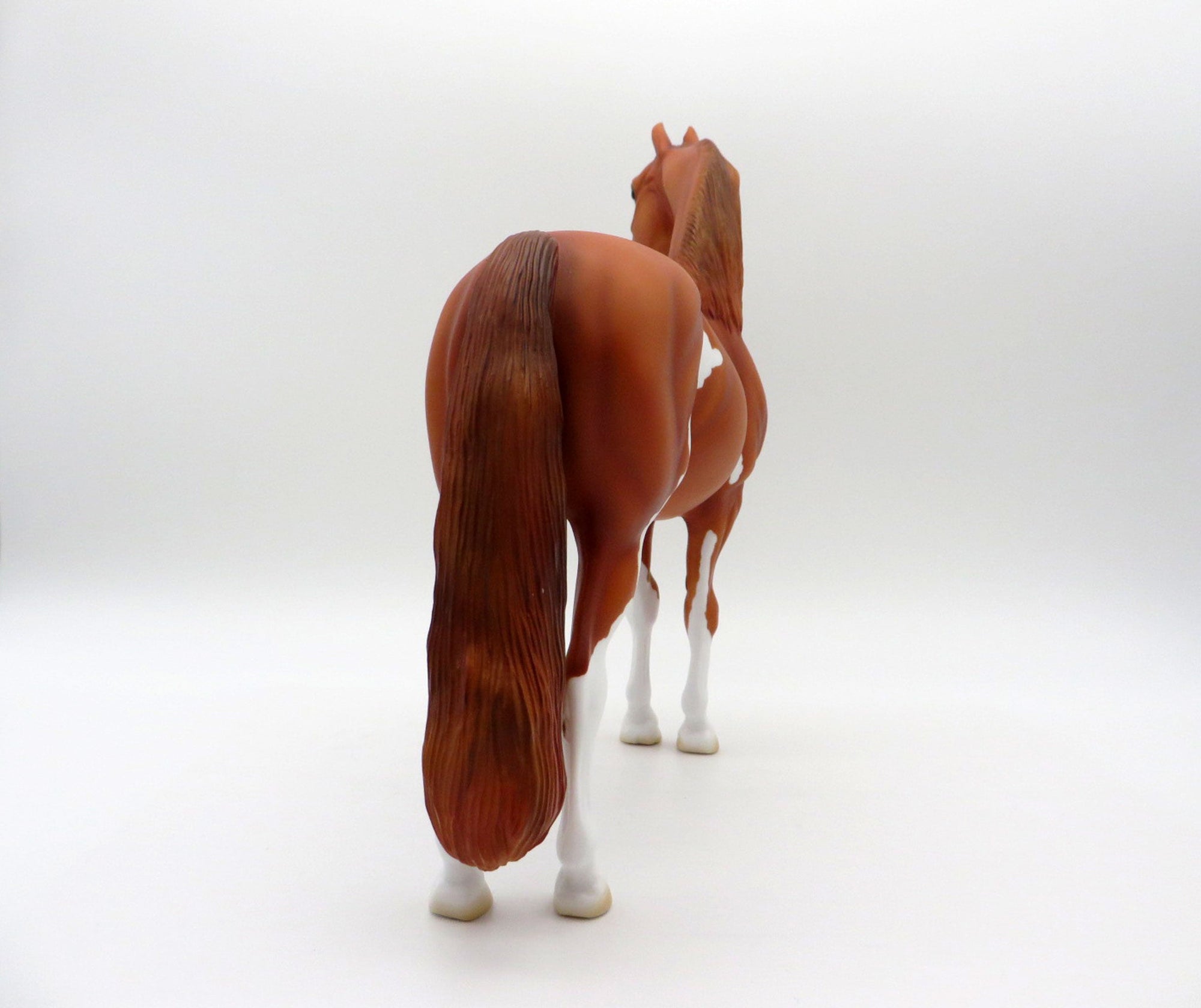 Ophiuchus-OOAK Chestnut Paint Morgan SHCF 2021