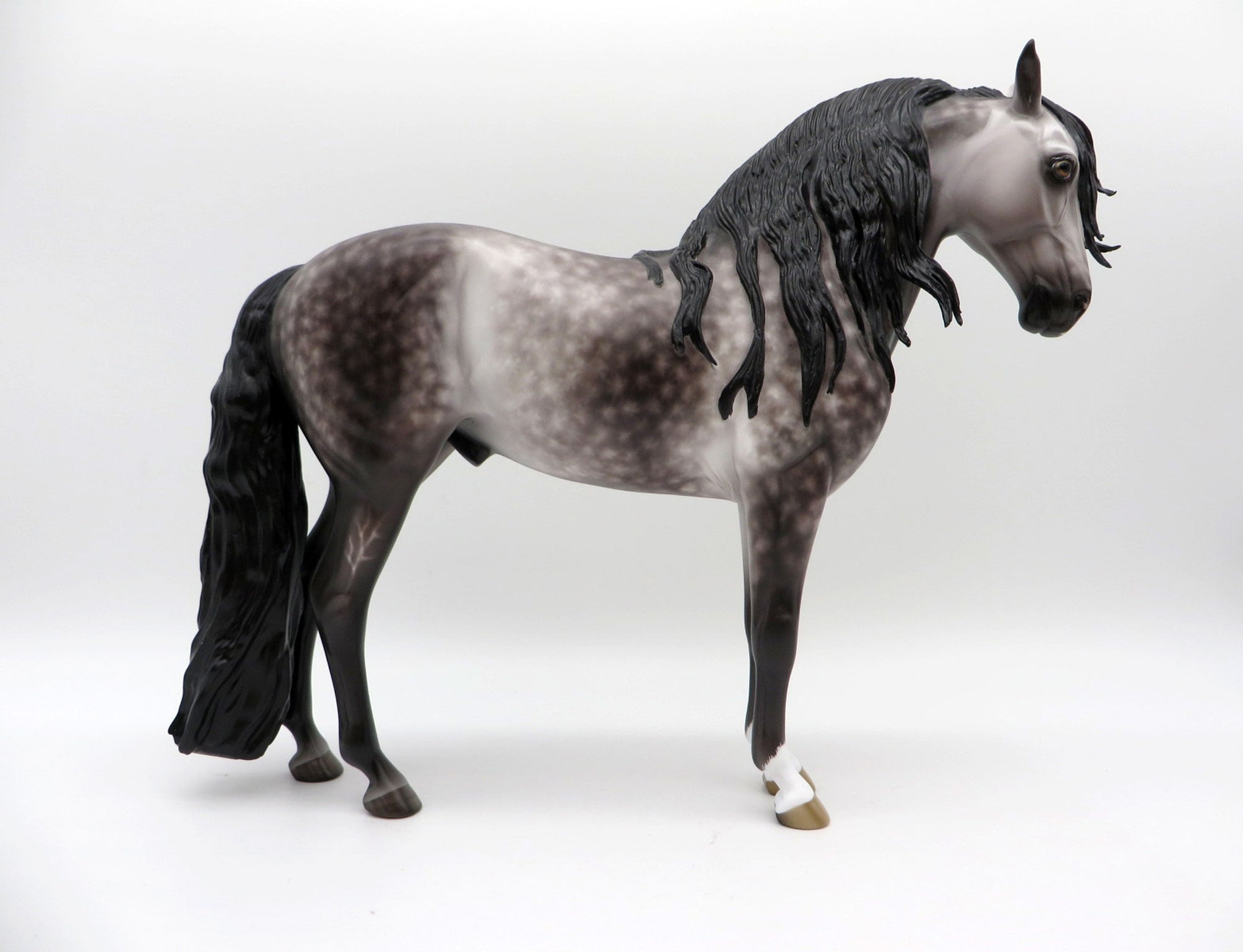 Orwell-OOAK Dapple Grey Andalusian Painted by Sheryl Leisure EQ 21