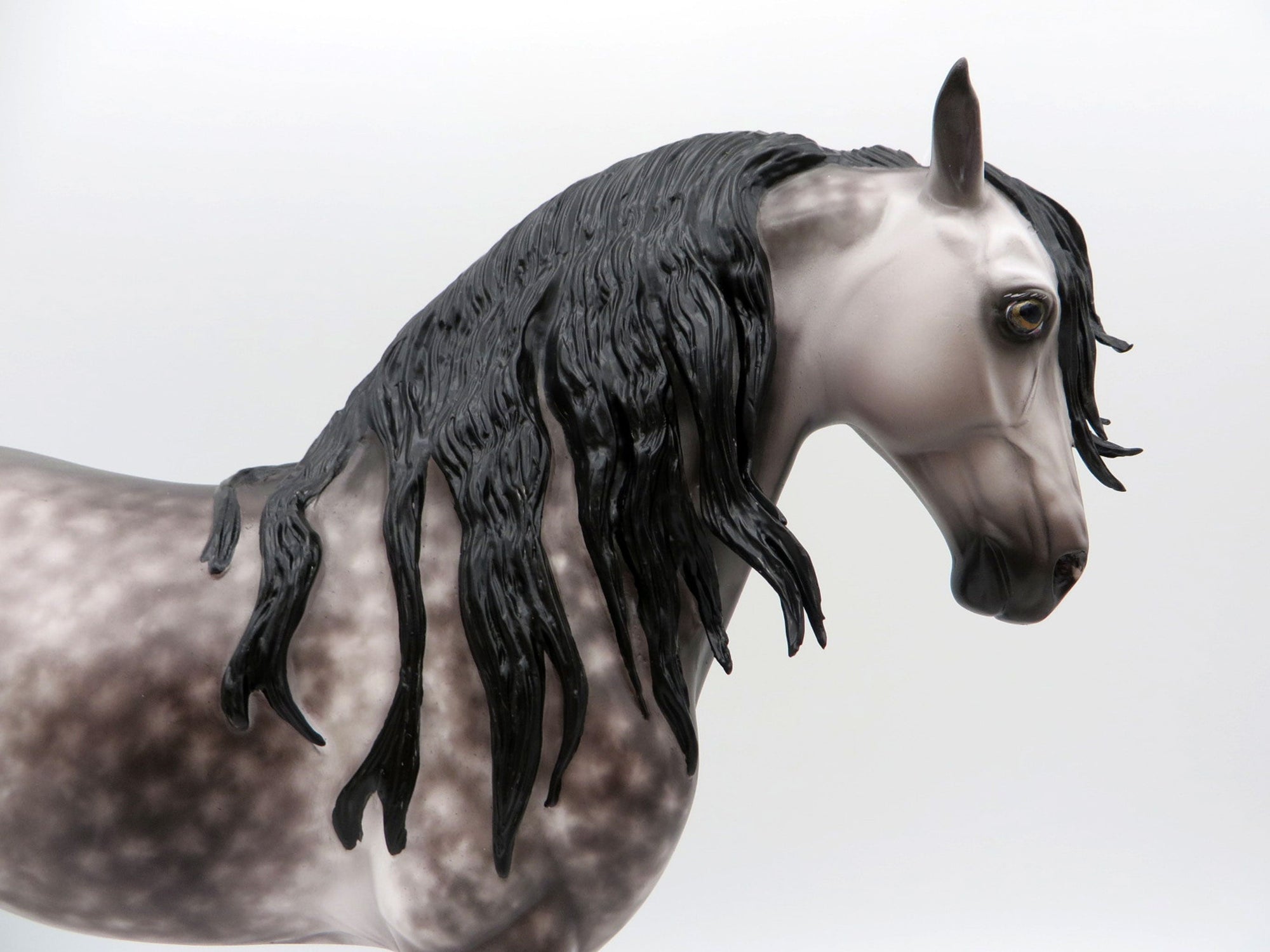 Orwell-OOAK Dapple Grey Andalusian Painted by Sheryl Leisure EQ 21