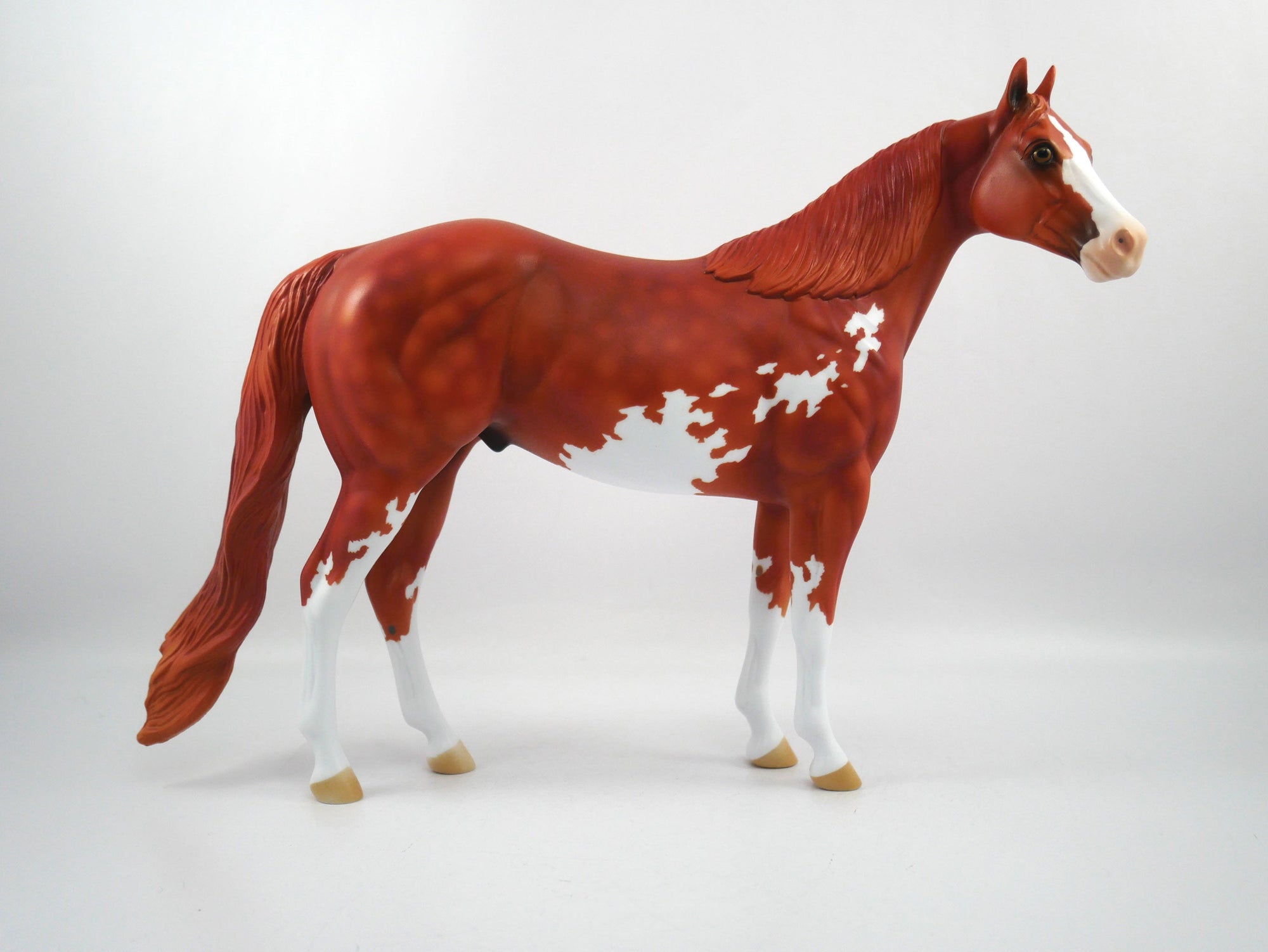 Out of Bounds-OOAK Chestnut Paint ISH SB21