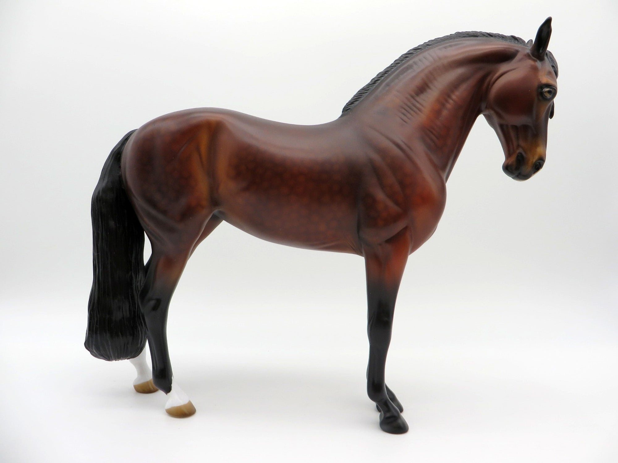 Overcast-OOAK Dapple Bay Andalusian SHCF 2021