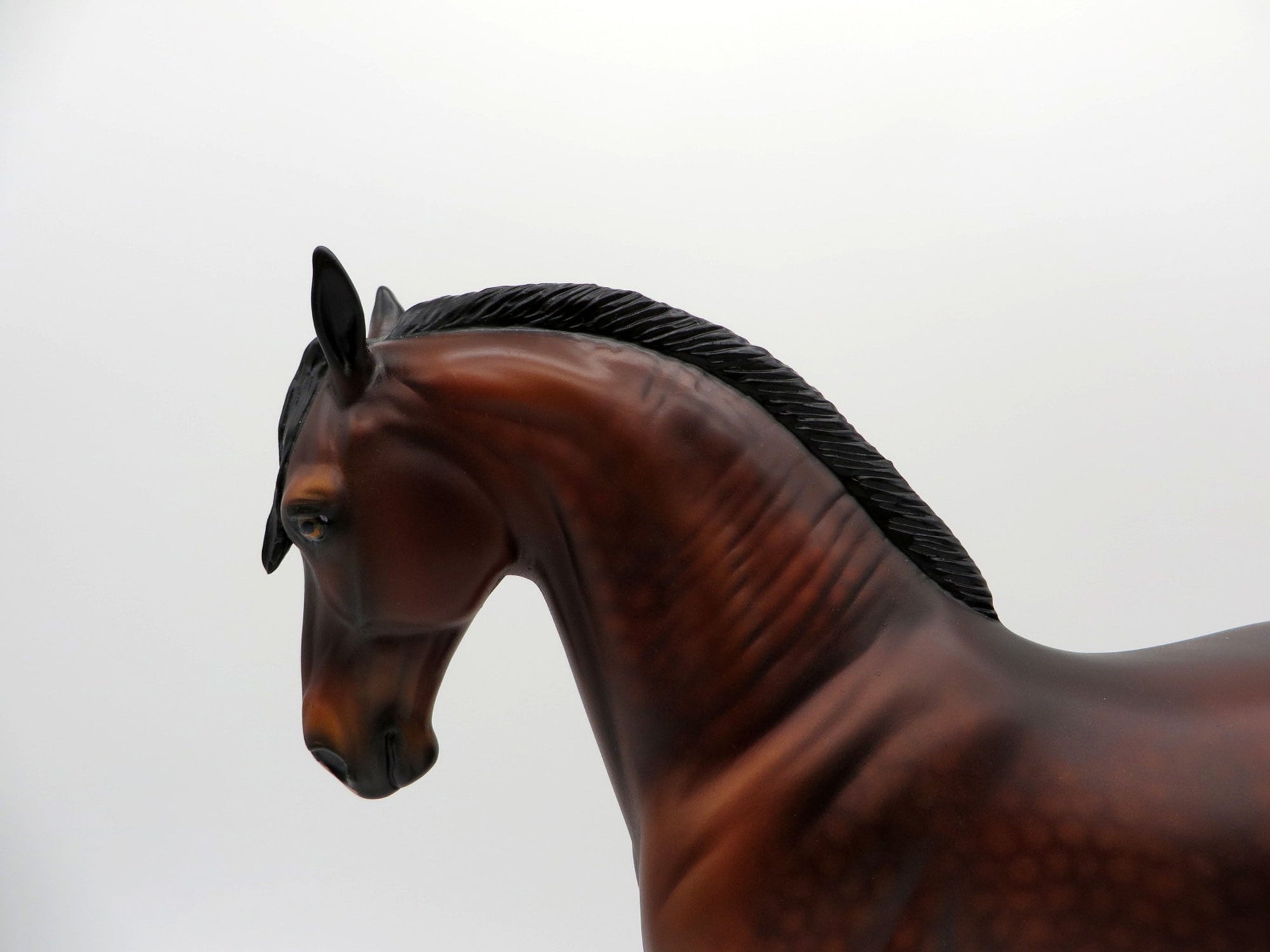 Overcast-OOAK Dapple Bay Andalusian SHCF 2021
