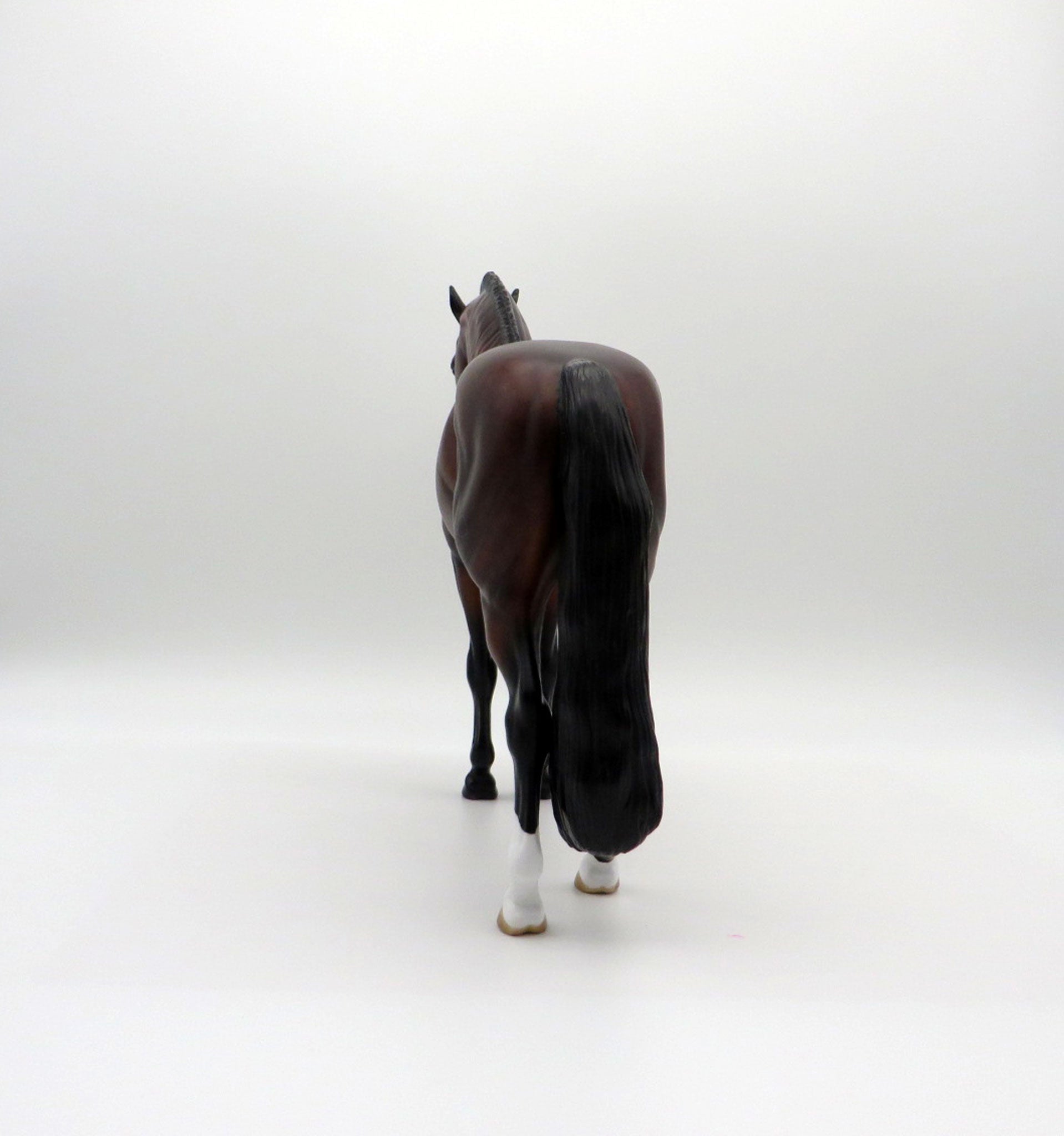 Overcast-OOAK Dapple Bay Andalusian SHCF 2021