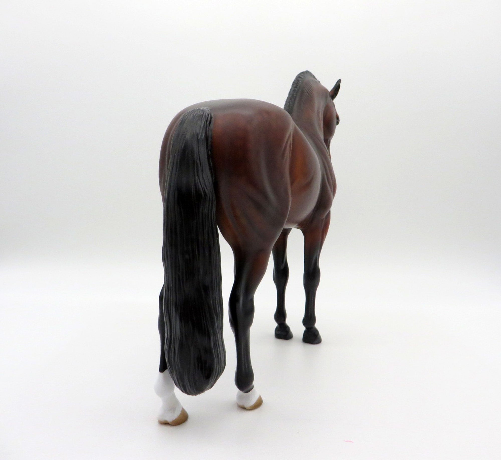Overcast-OOAK Dapple Bay Andalusian SHCF 2021