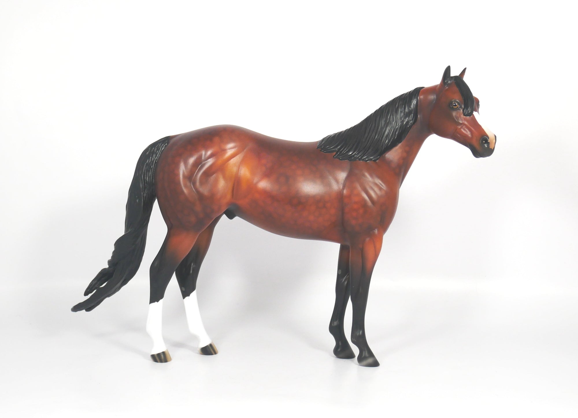 LOCOMOTION-OOAK DAPPLE BAY ISH SB21