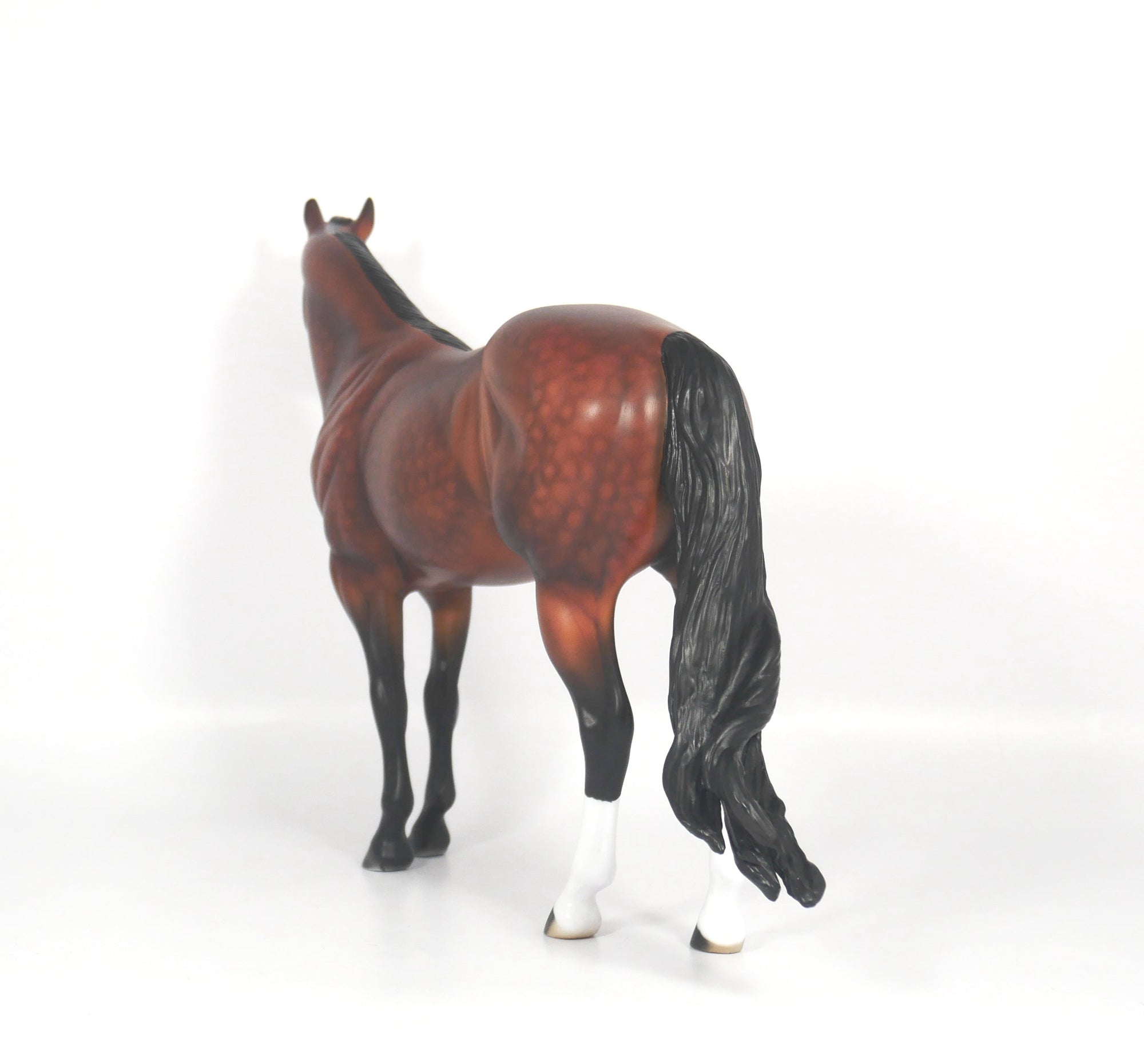 LOCOMOTION-OOAK DAPPLE BAY ISH SB21