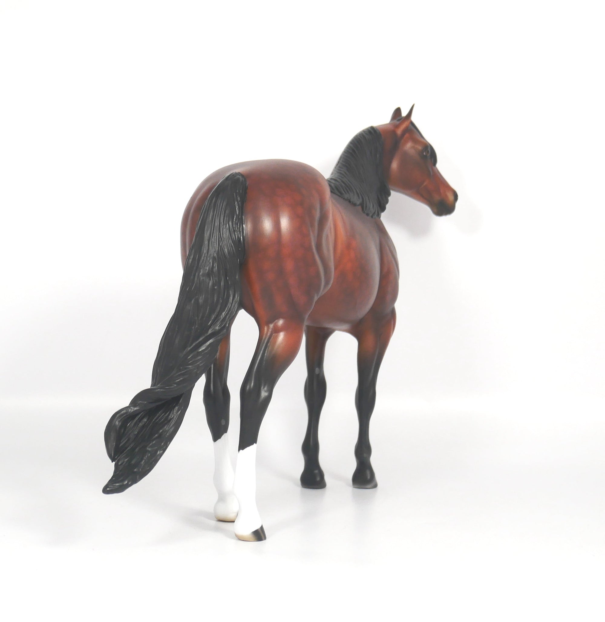 LOCOMOTION-OOAK DAPPLE BAY ISH SB21