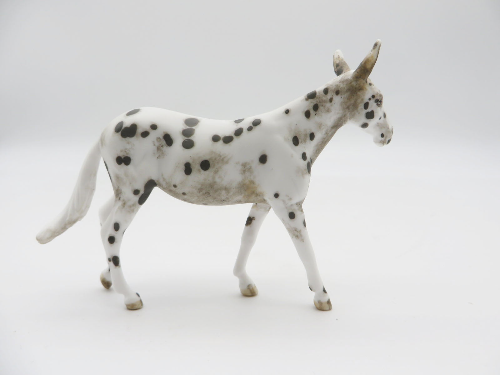 PETRIFIEDFOREST- OOAK Appy Mule Chip LHS 22