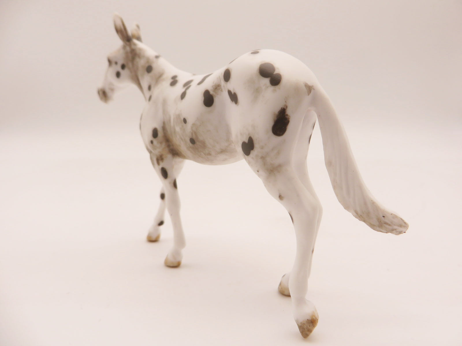 PETRIFIEDFOREST- OOAK Appy Mule Chip LHS 22