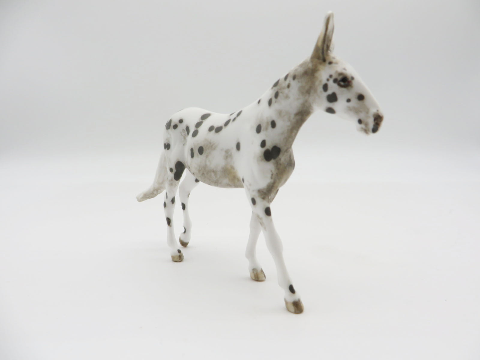 PETRIFIEDFOREST- OOAK Appy Mule Chip LHS 22