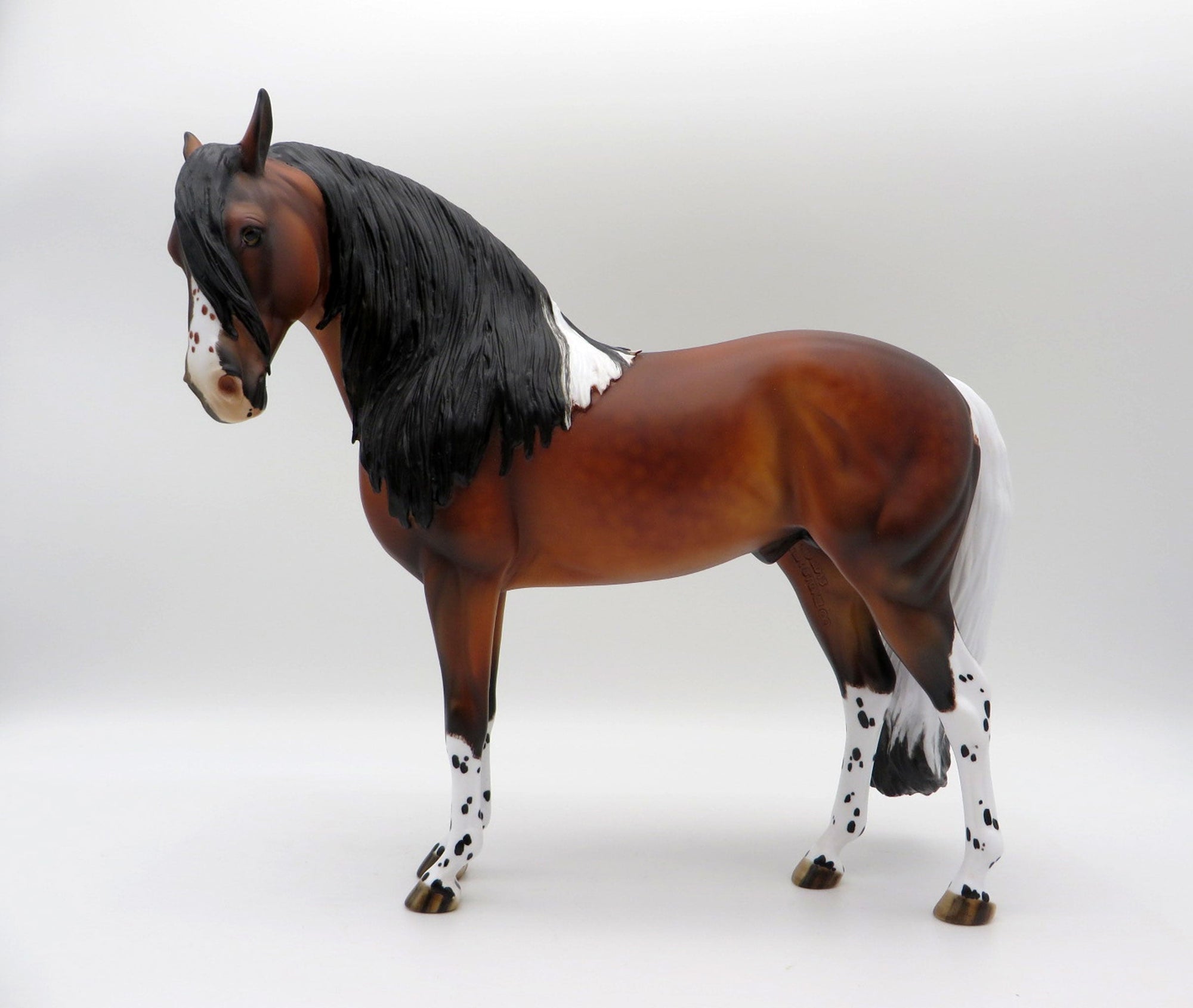 Pluie-OOAK Bay Pintaloosa Andalusian SHCF 21