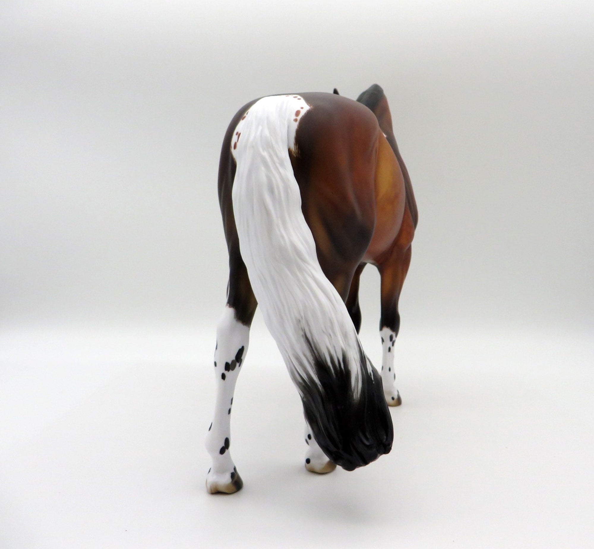 Pluie-OOAK Bay Pintaloosa Andalusian SHCF 21