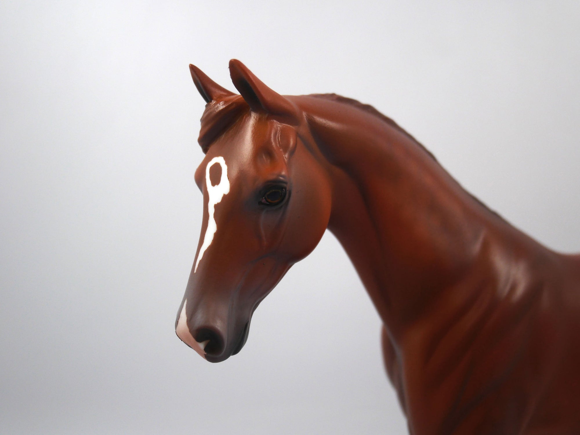 Packer-OOAK Dapple Chestnut Pony By Dawn SB 21